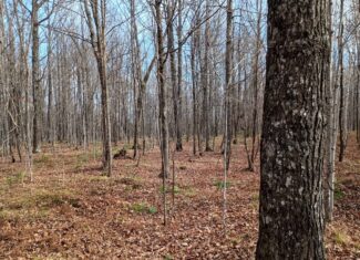 Land for Sale in Glidden, Wisconsin