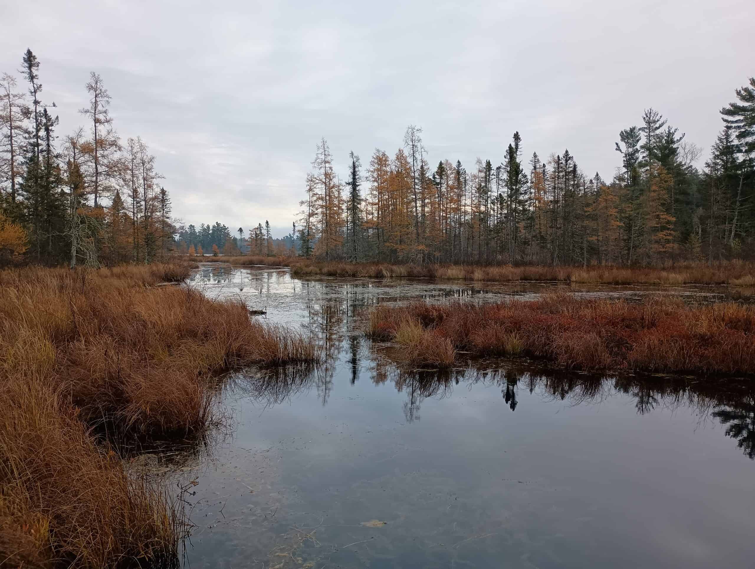 Lakefront Acreage With Cabin For Sale in Northern Wisconsin