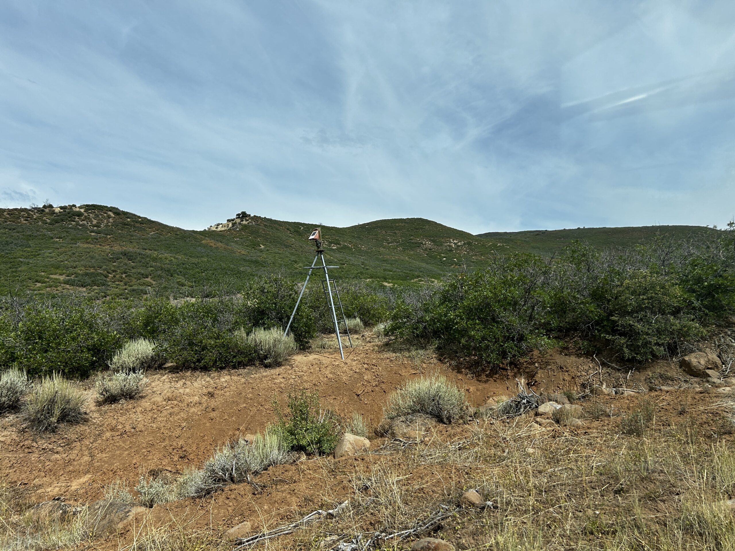 Green Mountain Ranch – Exceptional Hunting Property – Cedaredge, CO – 391 Acres on the Edge of the Grand Mesa
