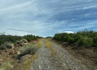 Green Mountain Ranch – Exceptional Hunting Property – Cedaredge, CO – 391 Acres on the Edge of the Grand Mesa