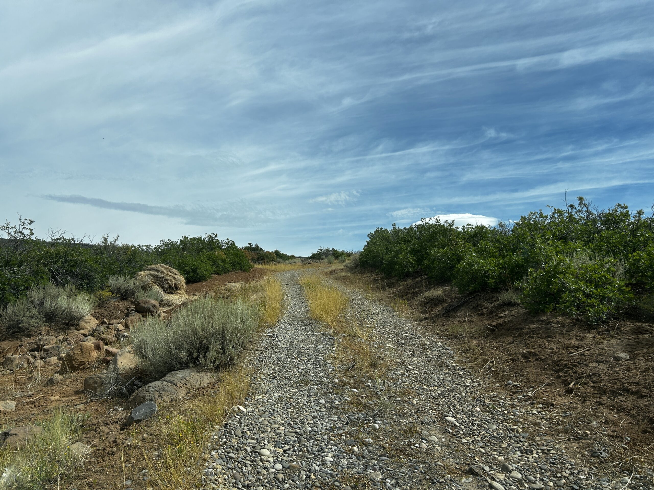 Green Mountain Ranch – Exceptional Hunting Property – Cedaredge, CO – 391 Acres on the Edge of the Grand Mesa