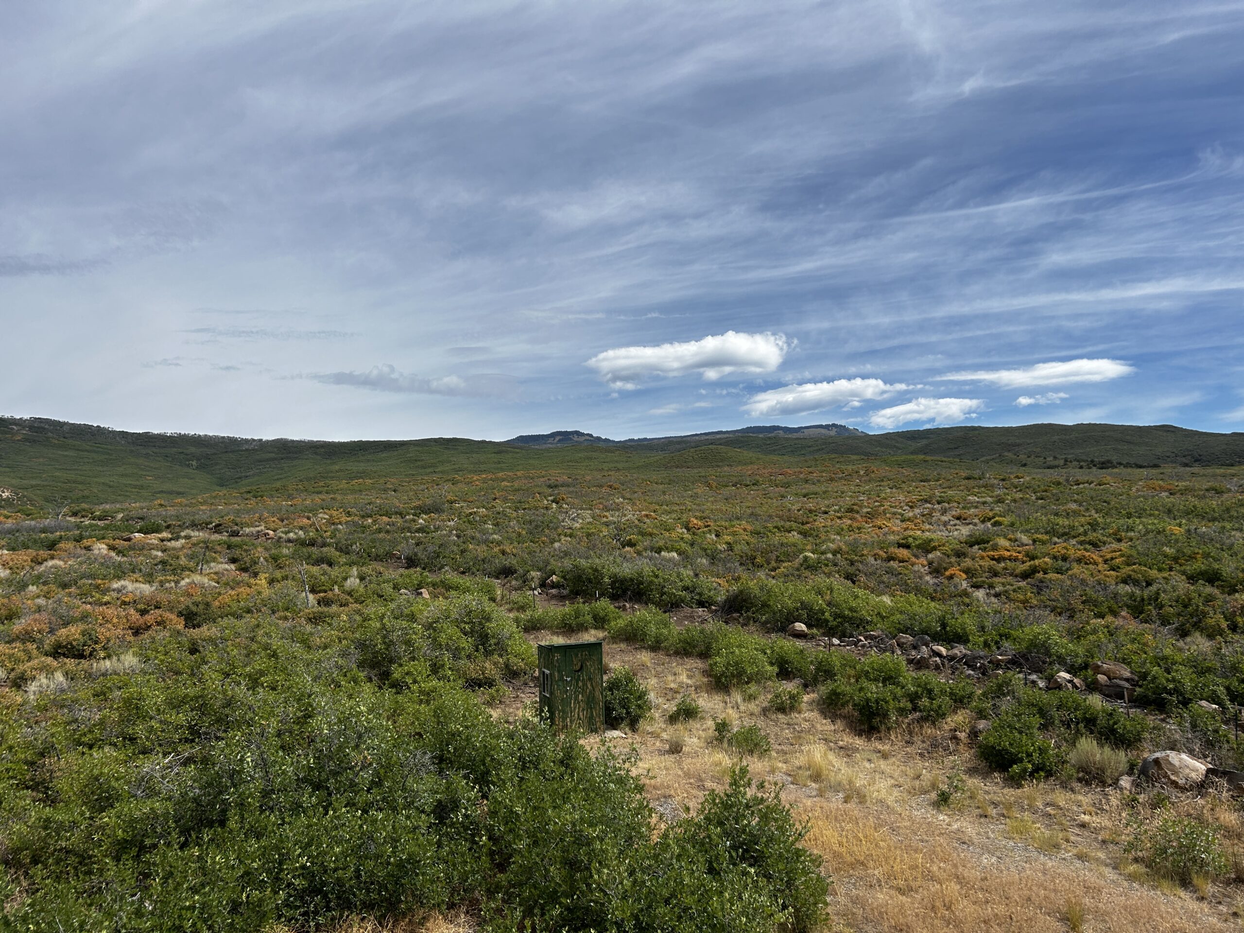 Green Mountain Ranch – Exceptional Hunting Property – Cedaredge, CO – 391 Acres on the Edge of the Grand Mesa