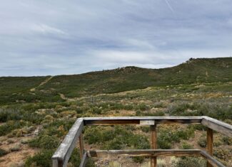 Green Mountain Ranch – Exceptional Hunting Property – Cedaredge, CO – 391 Acres on the Edge of the Grand Mesa
