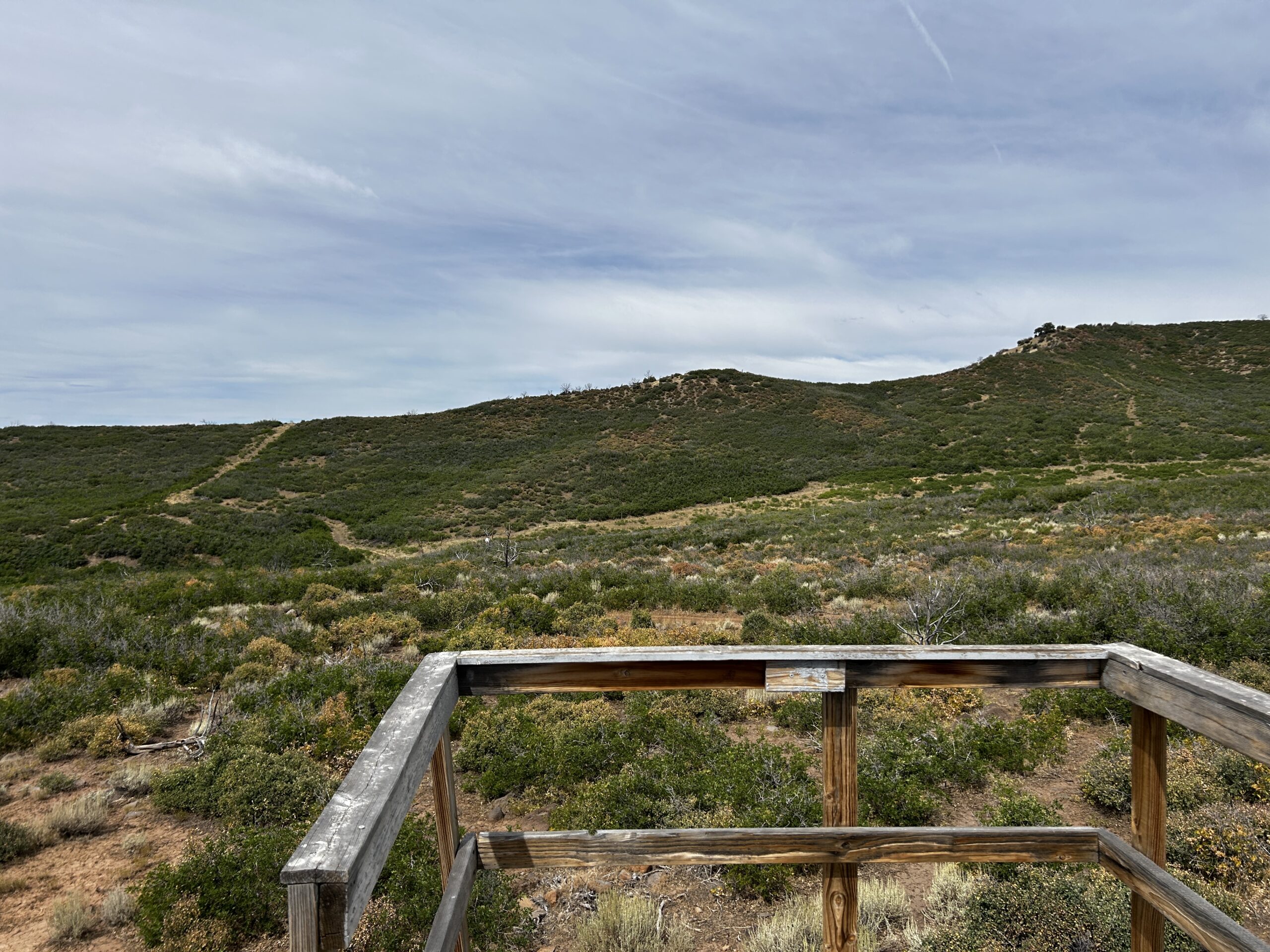 Green Mountain Ranch – Exceptional Hunting Property – Cedaredge, CO – 391 Acres on the Edge of the Grand Mesa