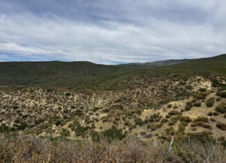 Green Mountain Ranch – Exceptional Hunting Property – Cedaredge, CO – 391 Acres on the Edge of the Grand Mesa