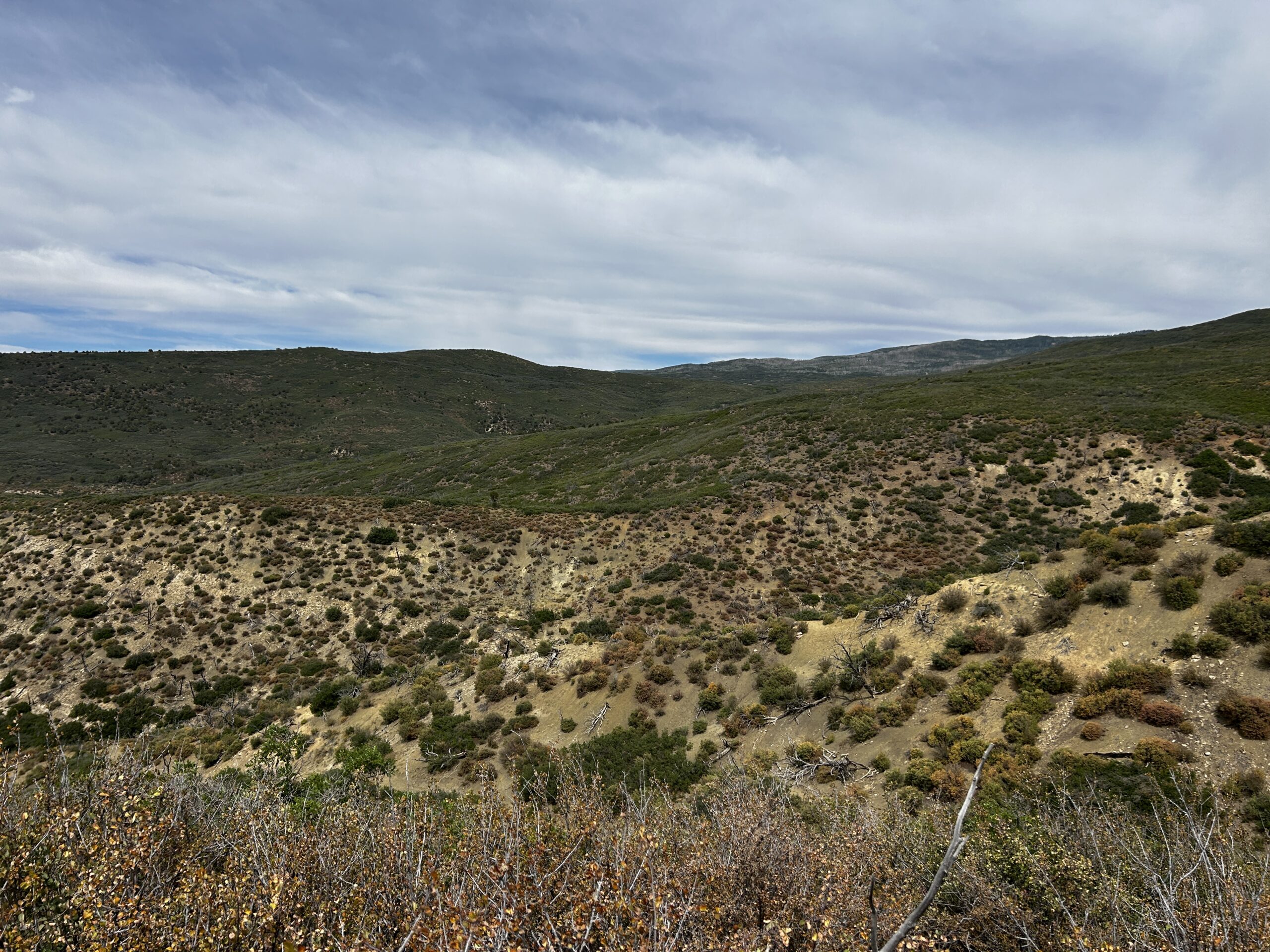 Green Mountain Ranch – Exceptional Hunting Property – Cedaredge, CO – 391 Acres on the Edge of the Grand Mesa