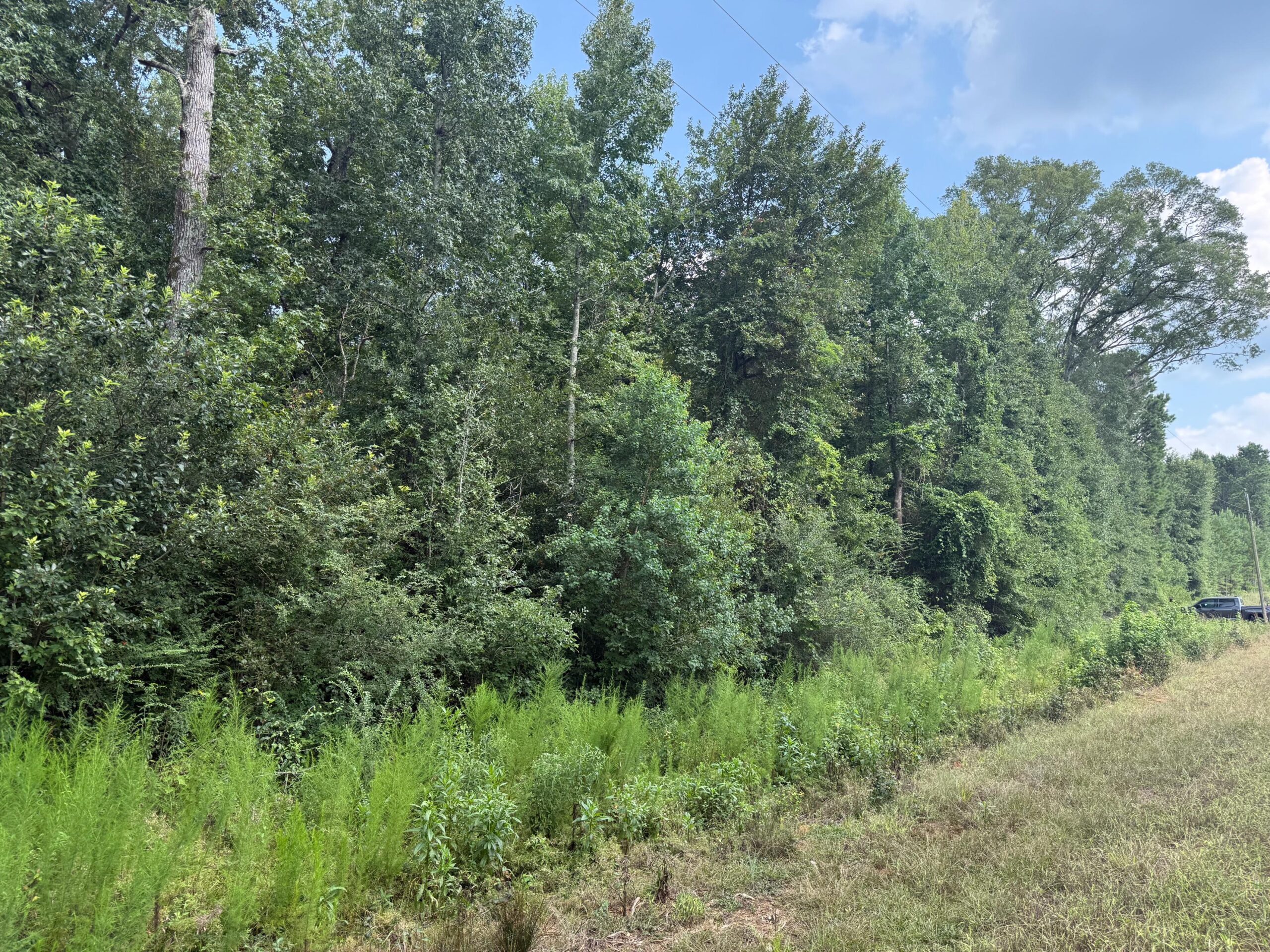 Land For Sale Simsboro LA Lincoln Parish