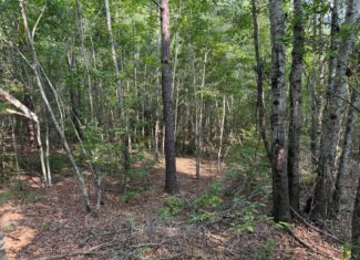 Land For Sale Simsboro LA Lincoln Parish