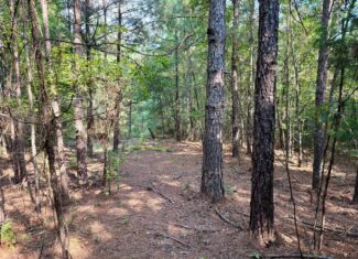 Land For Sale Simsboro LA Lincoln Parish