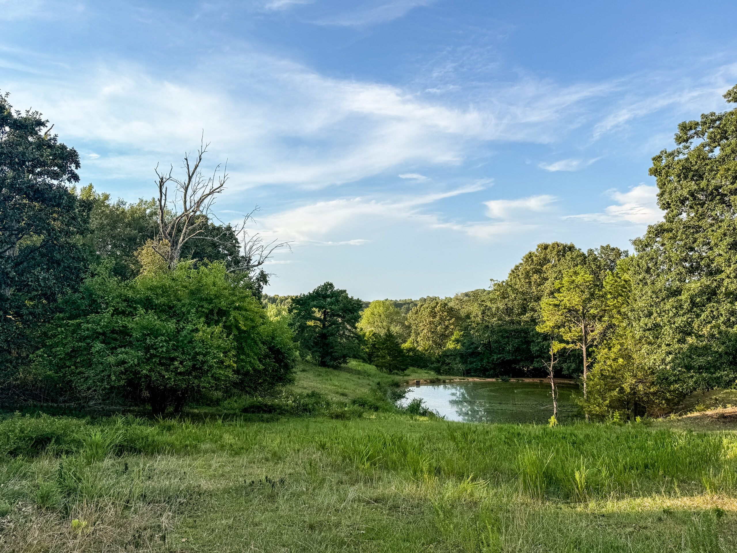 17 Acres Fenced Land with Ponds in Searcy County, Ar for Sale