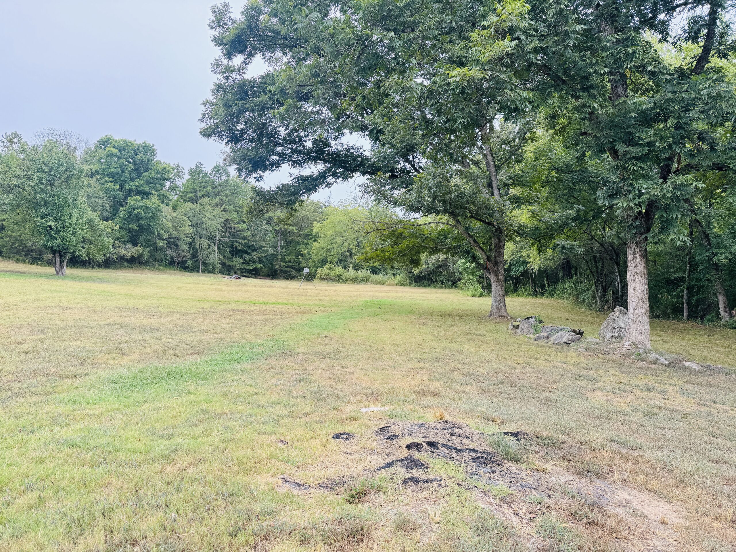 LOG CABIN AND HUNTING LAND FOR SALE IN NORTH CENTRAL ARKANSAS
