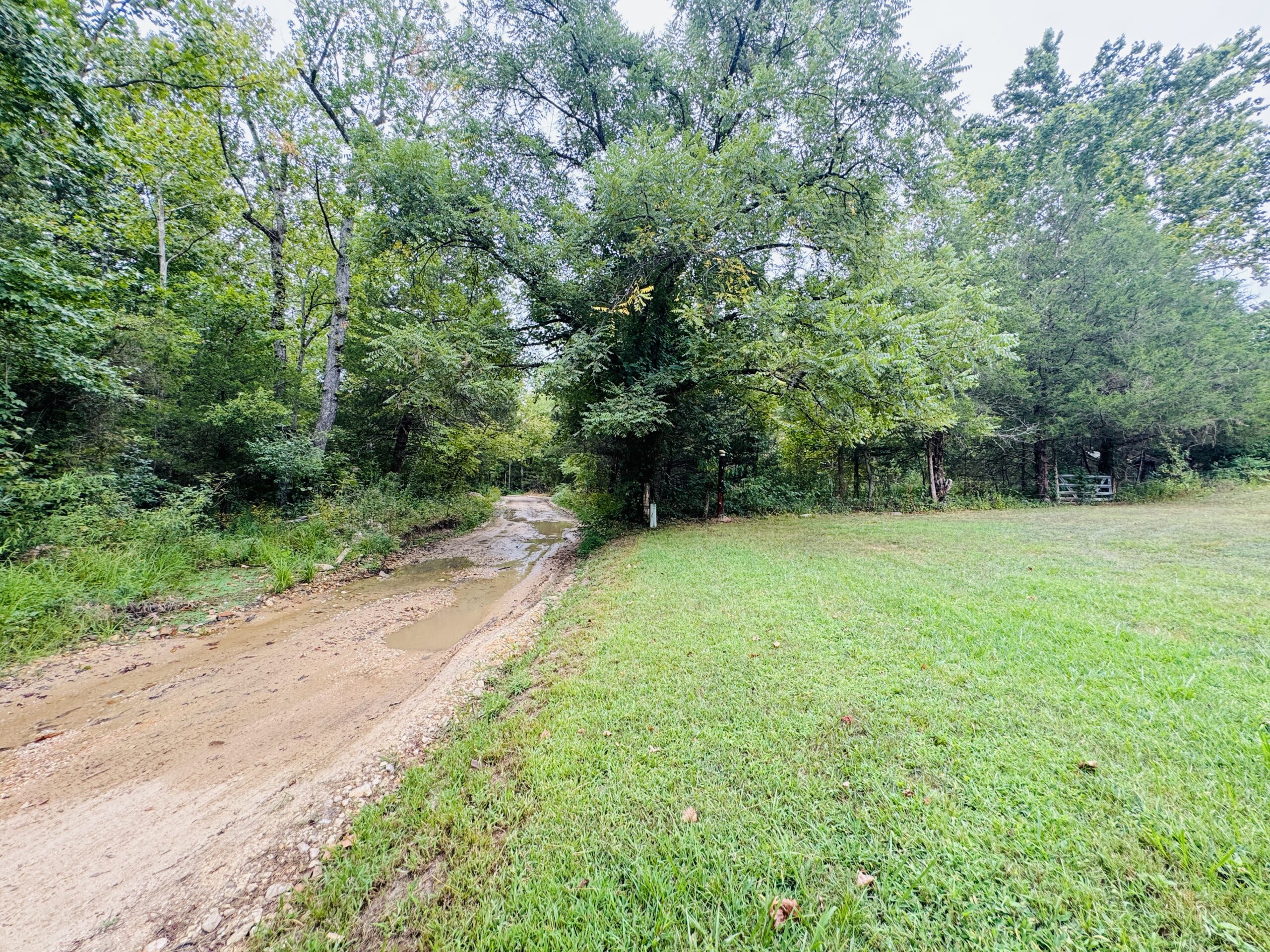 LOG CABIN AND HUNTING LAND FOR SALE IN NORTH CENTRAL ARKANSAS