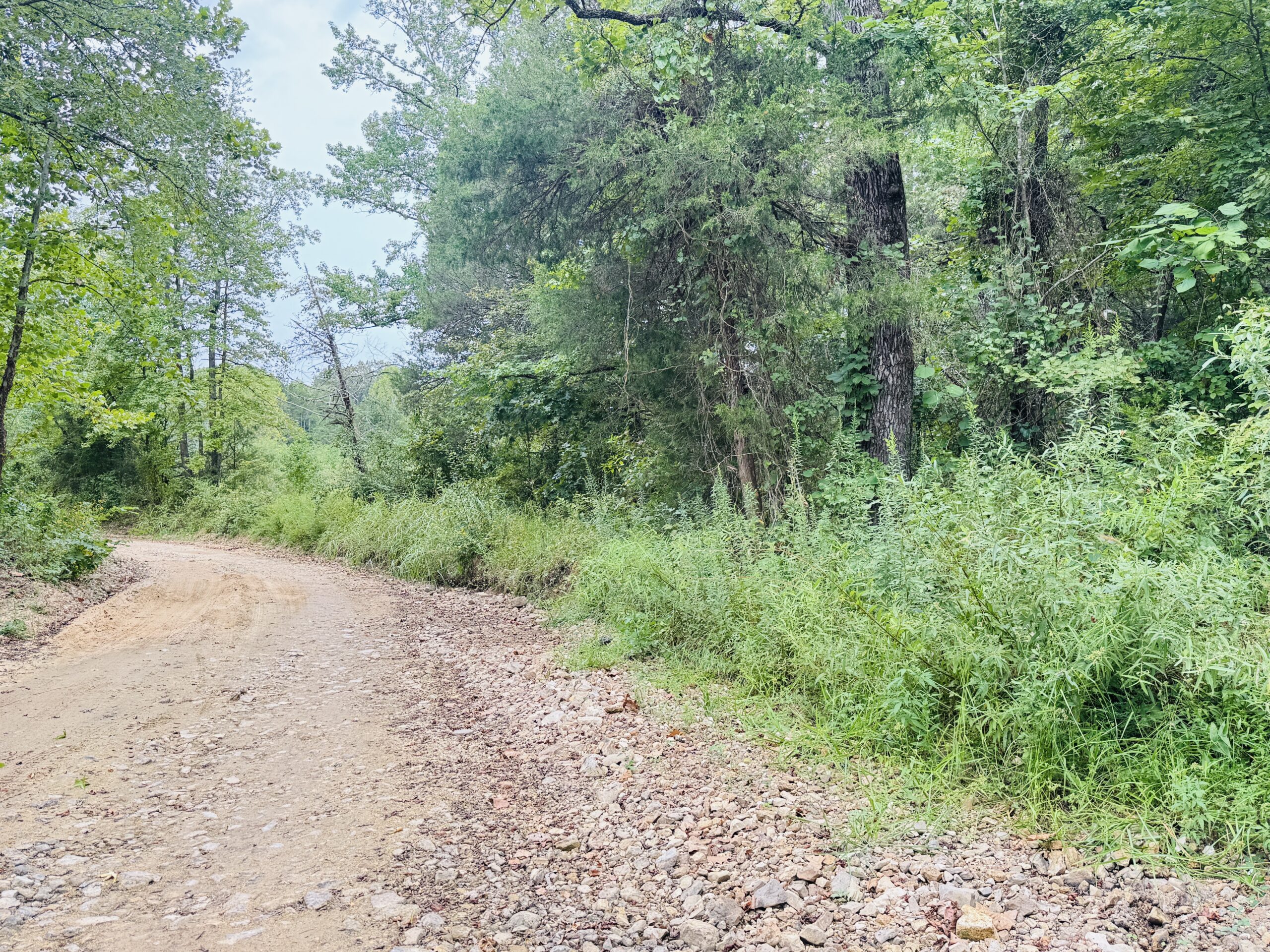 LOG CABIN AND HUNTING LAND FOR SALE IN NORTH CENTRAL ARKANSAS