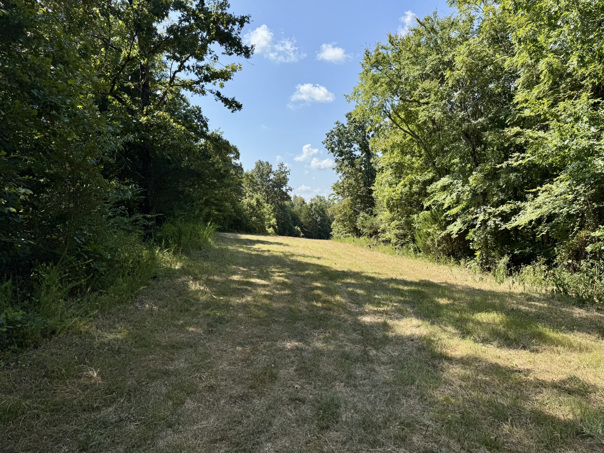 HUNTING LAND WITH CABIN FOR SALE IN NORTH CENTRAL ARKANSAS