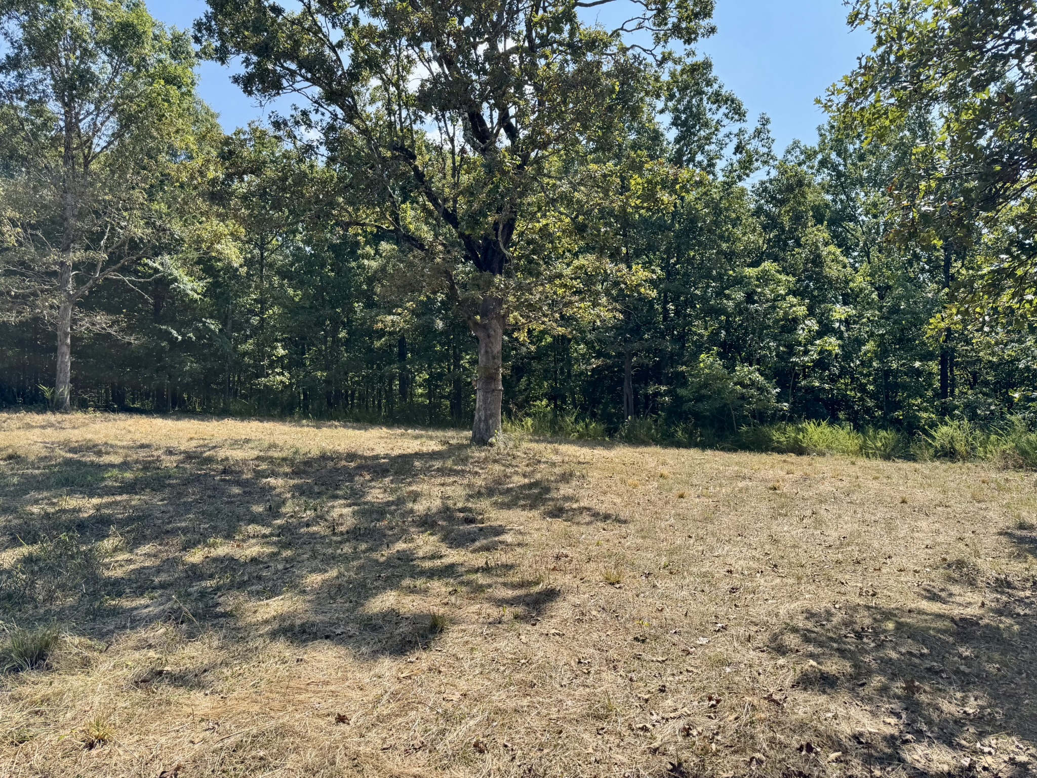 HUNTING LAND WITH CABIN FOR SALE IN NORTH CENTRAL ARKANSAS