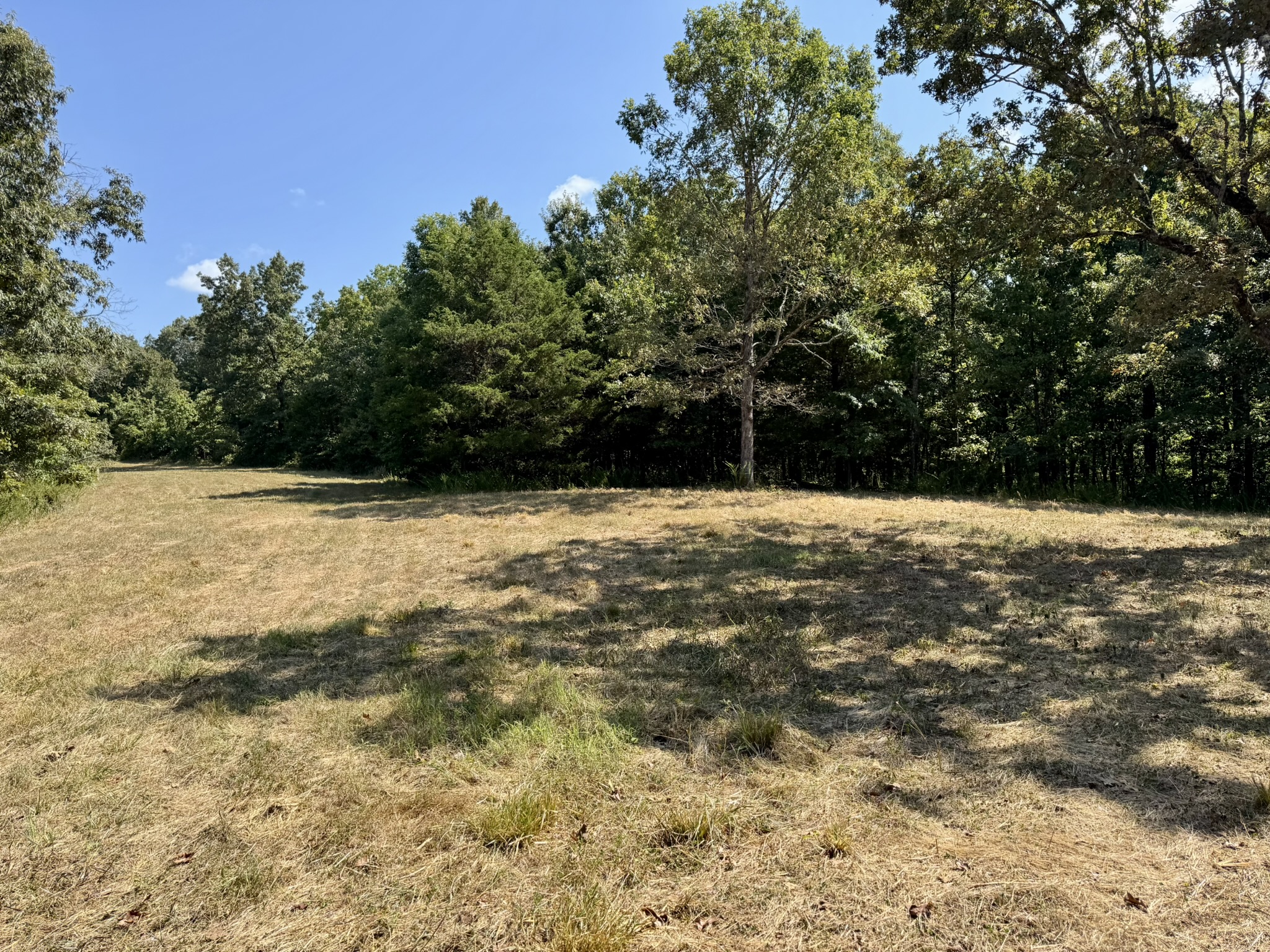 HUNTING LAND WITH CABIN FOR SALE IN NORTH CENTRAL ARKANSAS