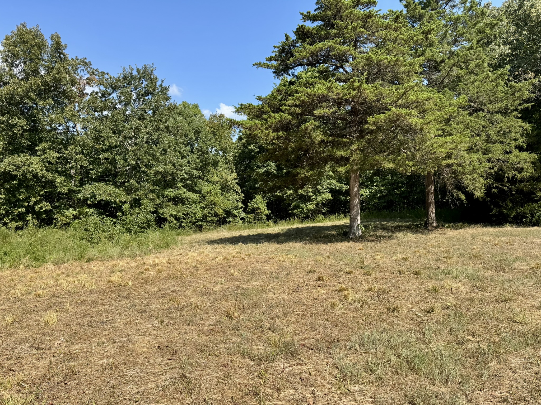 HUNTING LAND WITH CABIN FOR SALE IN NORTH CENTRAL ARKANSAS