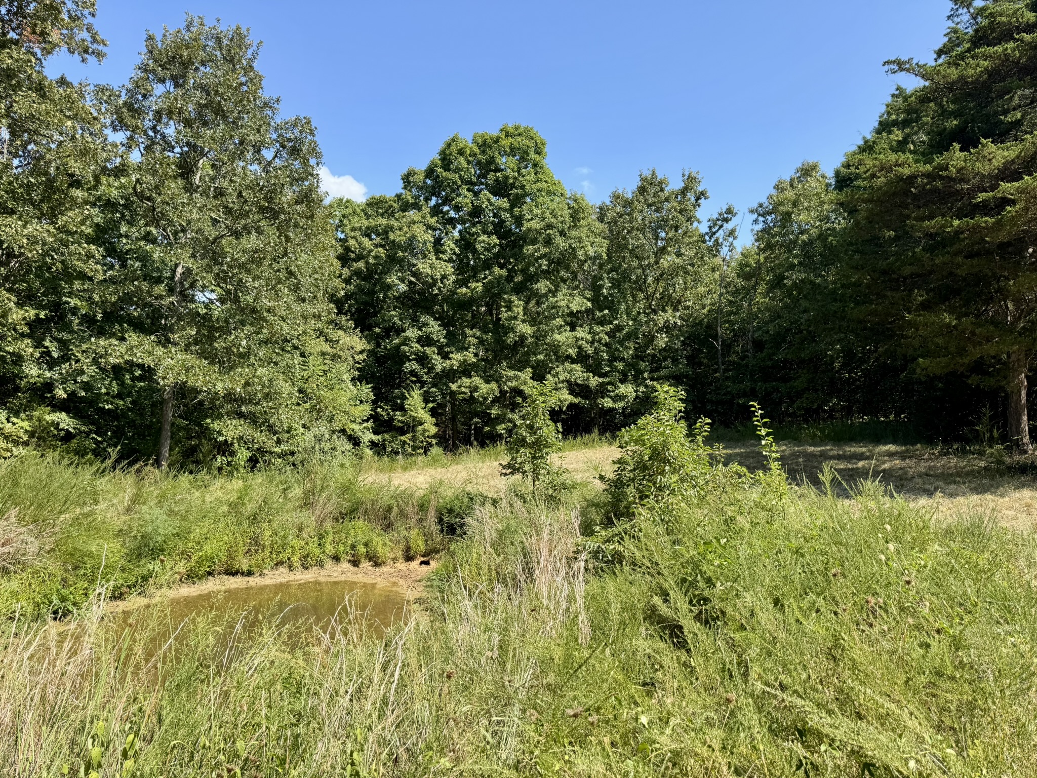 HUNTING LAND WITH CABIN FOR SALE IN NORTH CENTRAL ARKANSAS