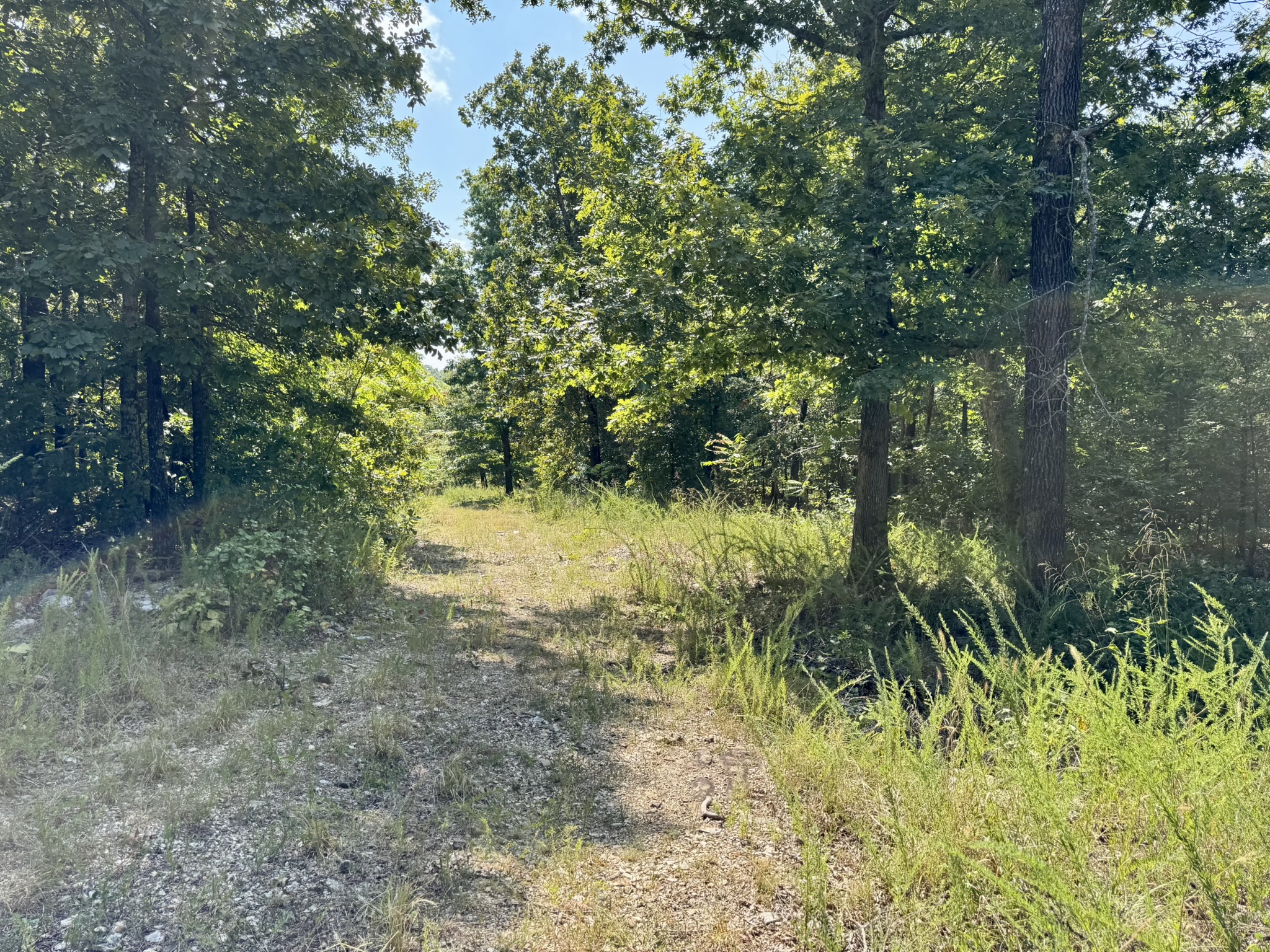 HUNTING LAND WITH CABIN FOR SALE IN NORTH CENTRAL ARKANSAS