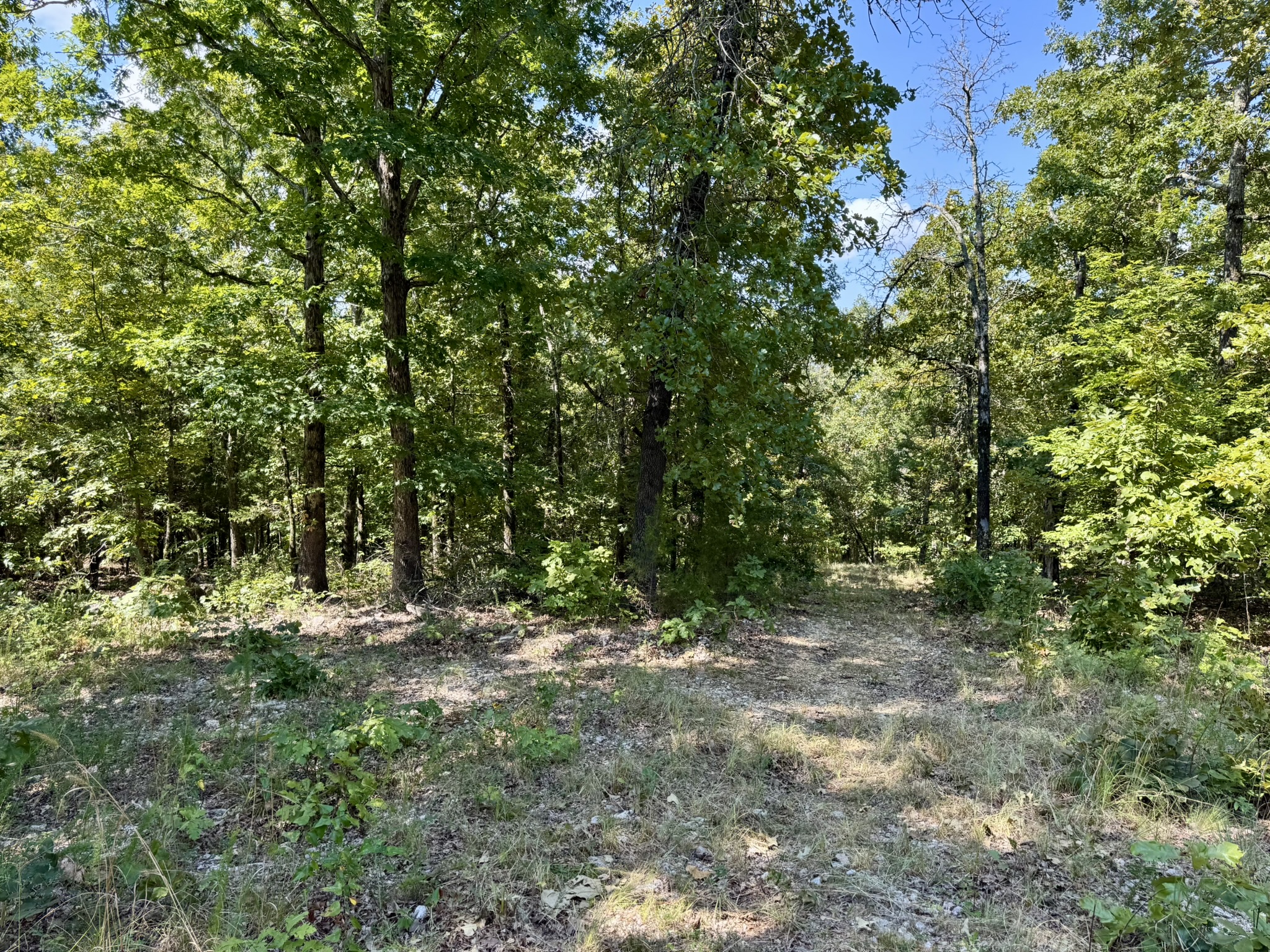 HUNTING LAND WITH CABIN FOR SALE IN NORTH CENTRAL ARKANSAS