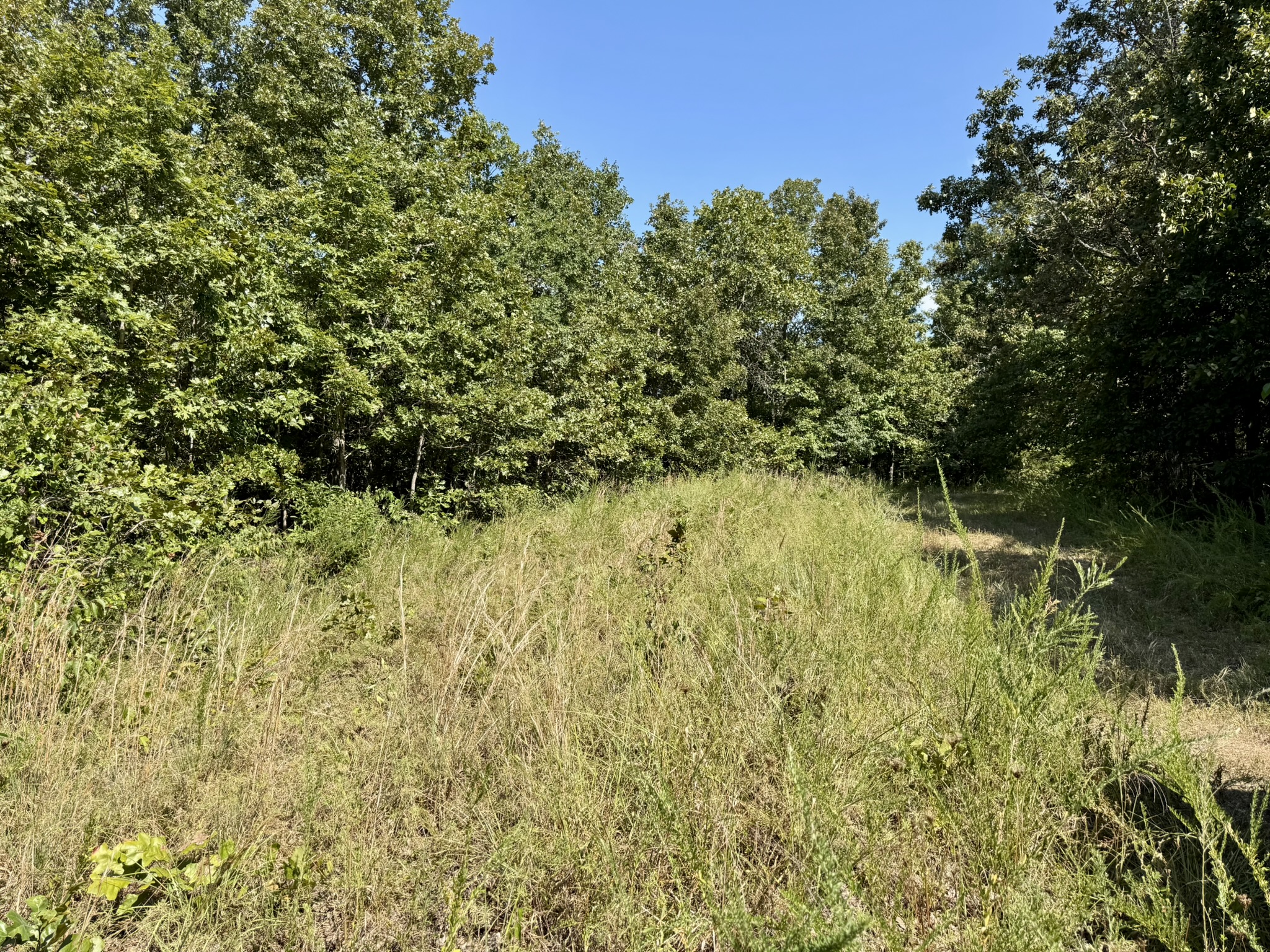 HUNTING LAND WITH CABIN FOR SALE IN NORTH CENTRAL ARKANSAS