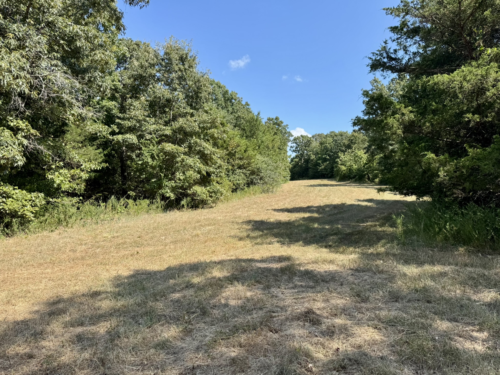 HUNTING LAND WITH CABIN FOR SALE IN NORTH CENTRAL ARKANSAS