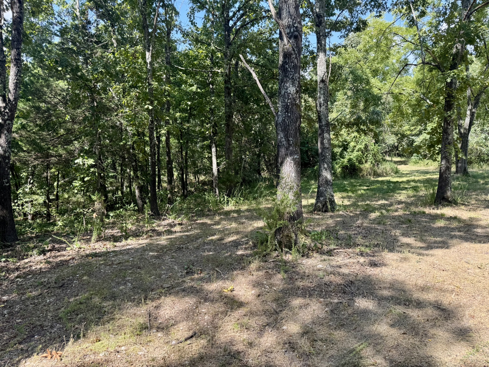 HUNTING LAND WITH CABIN FOR SALE IN NORTH CENTRAL ARKANSAS