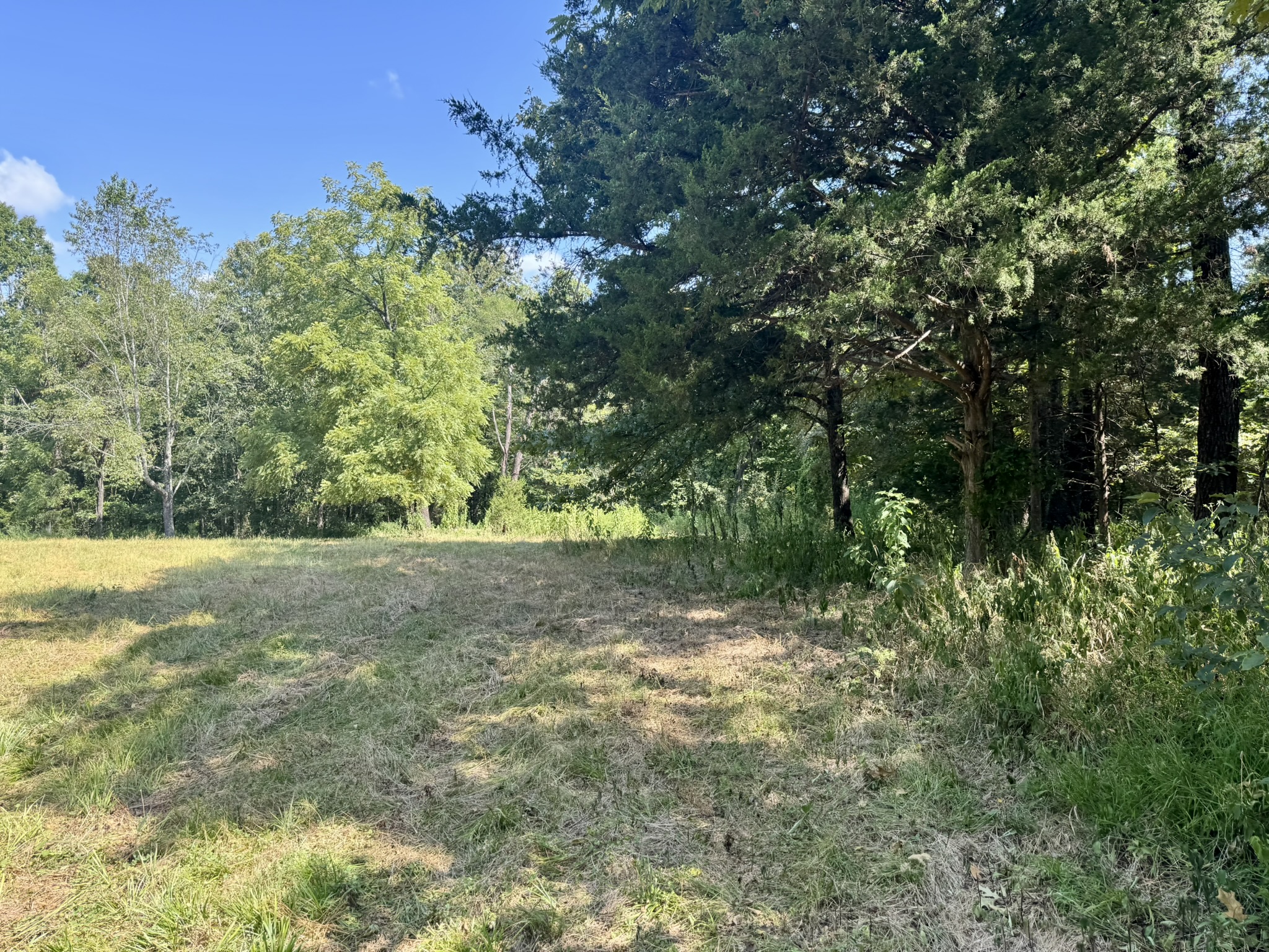 HUNTING LAND WITH CABIN FOR SALE IN NORTH CENTRAL ARKANSAS