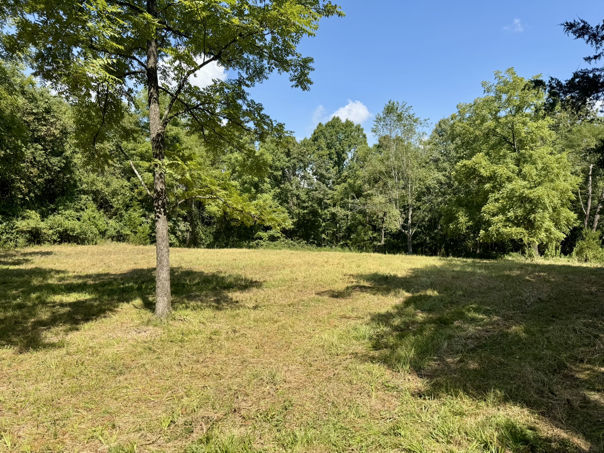 HUNTING LAND WITH CABIN FOR SALE IN NORTH CENTRAL ARKANSAS