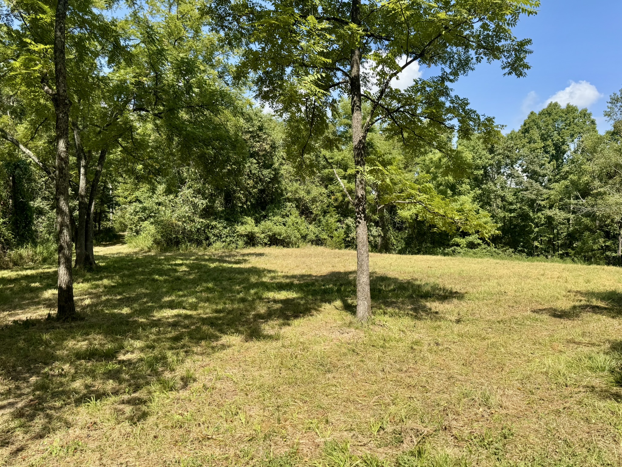 HUNTING LAND WITH CABIN FOR SALE IN NORTH CENTRAL ARKANSAS