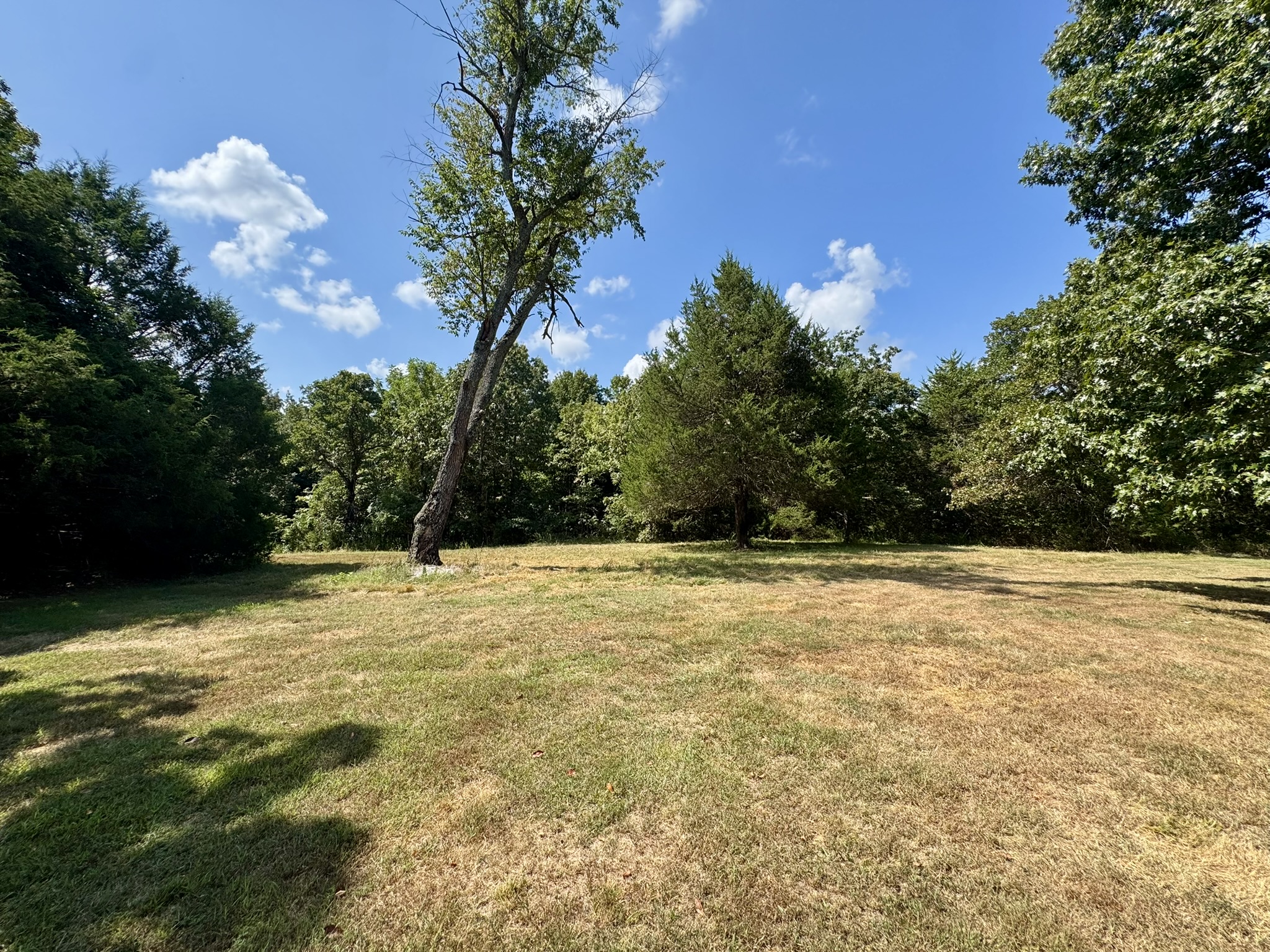 HUNTING LAND WITH CABIN FOR SALE IN NORTH CENTRAL ARKANSAS