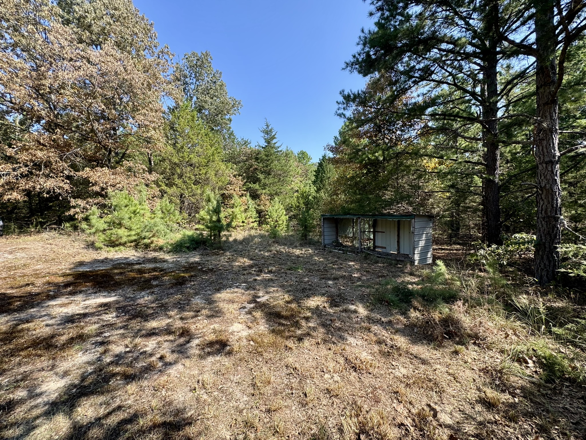 CABIN AND HUNTING LAND FOR SALE IN NORTH CENTRAL ARKANSAS