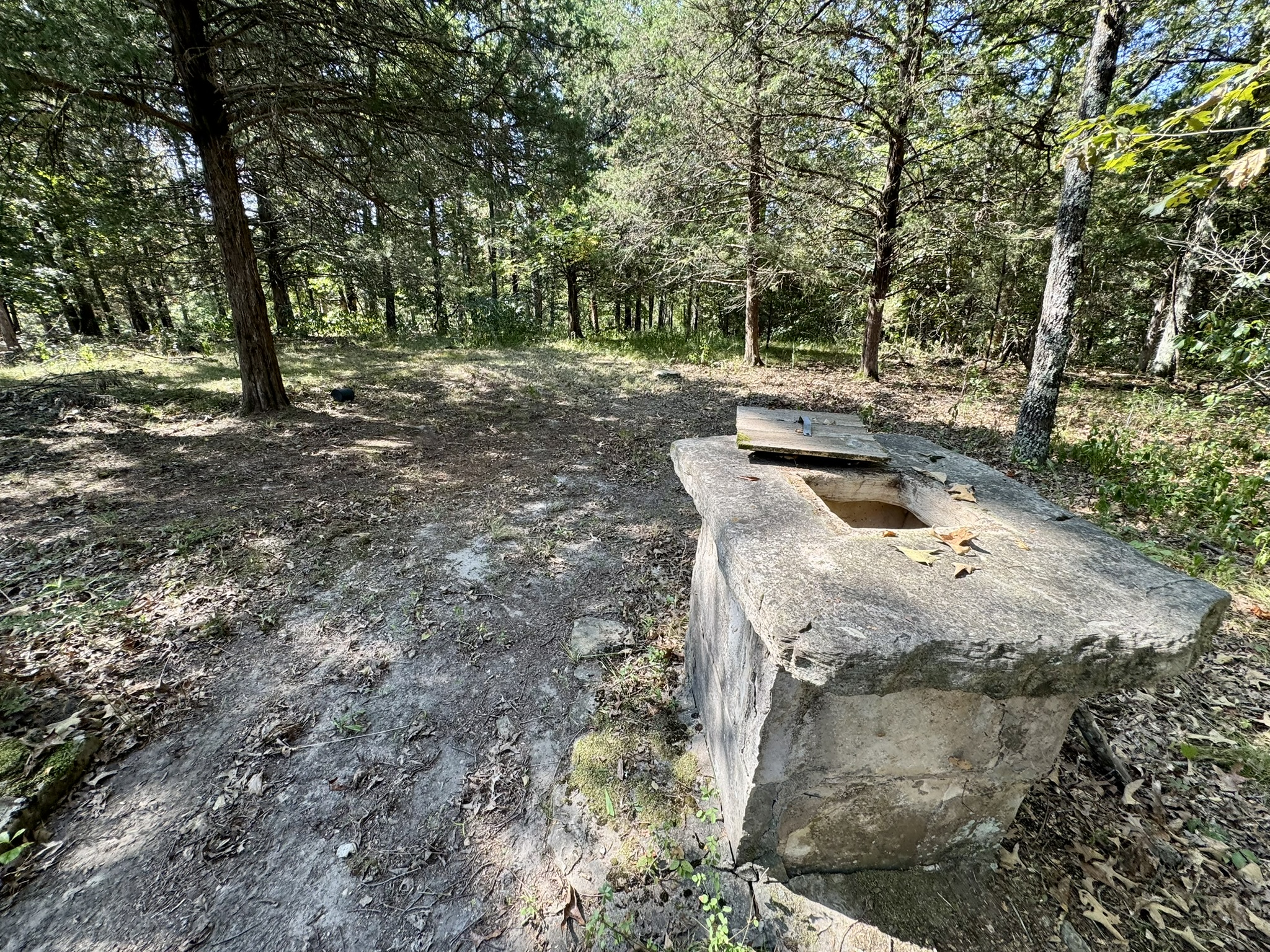 CABIN AND HUNTING LAND FOR SALE IN NORTH CENTRAL ARKANSAS