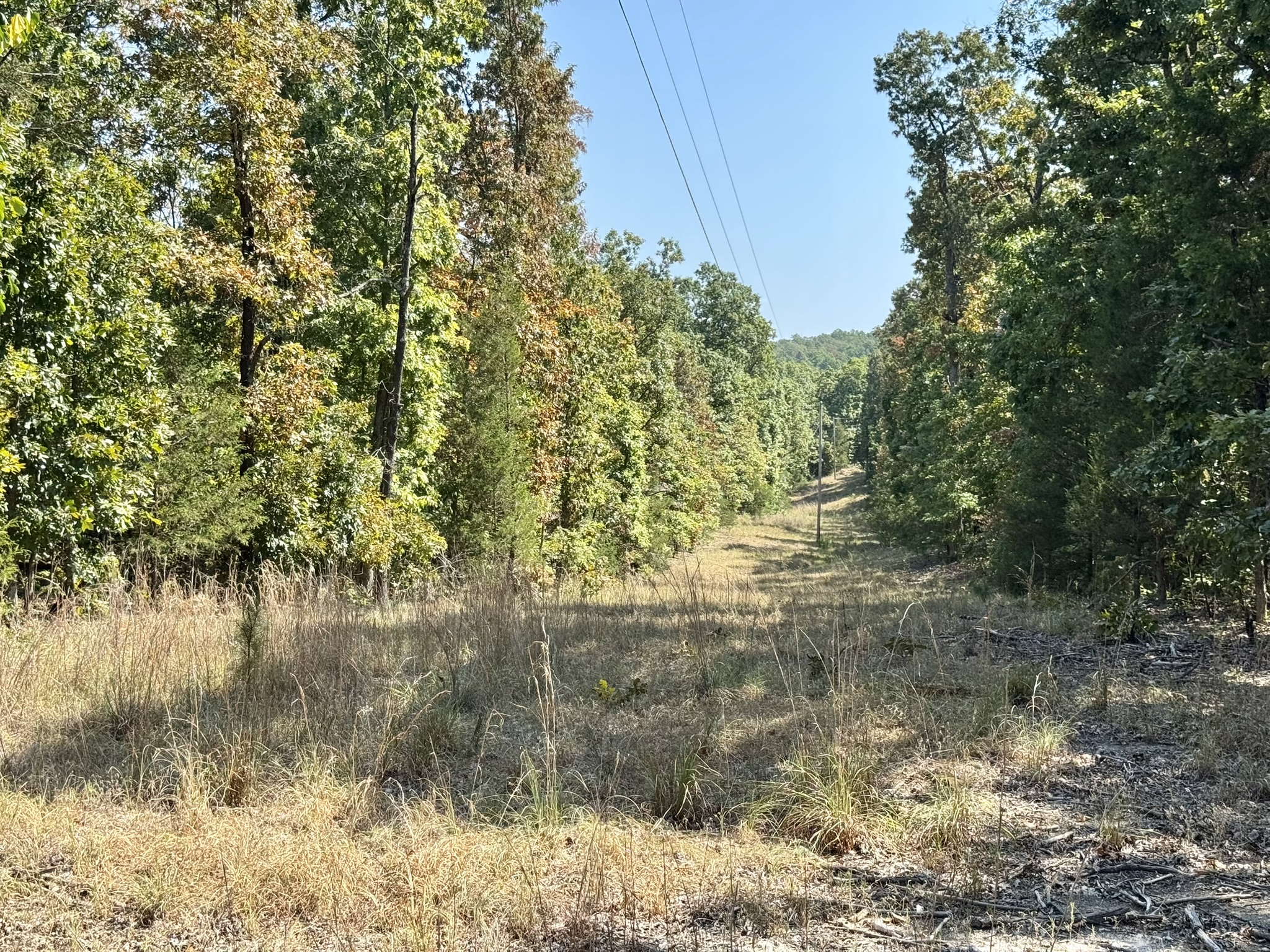 CABIN AND HUNTING LAND FOR SALE IN NORTH CENTRAL ARKANSAS