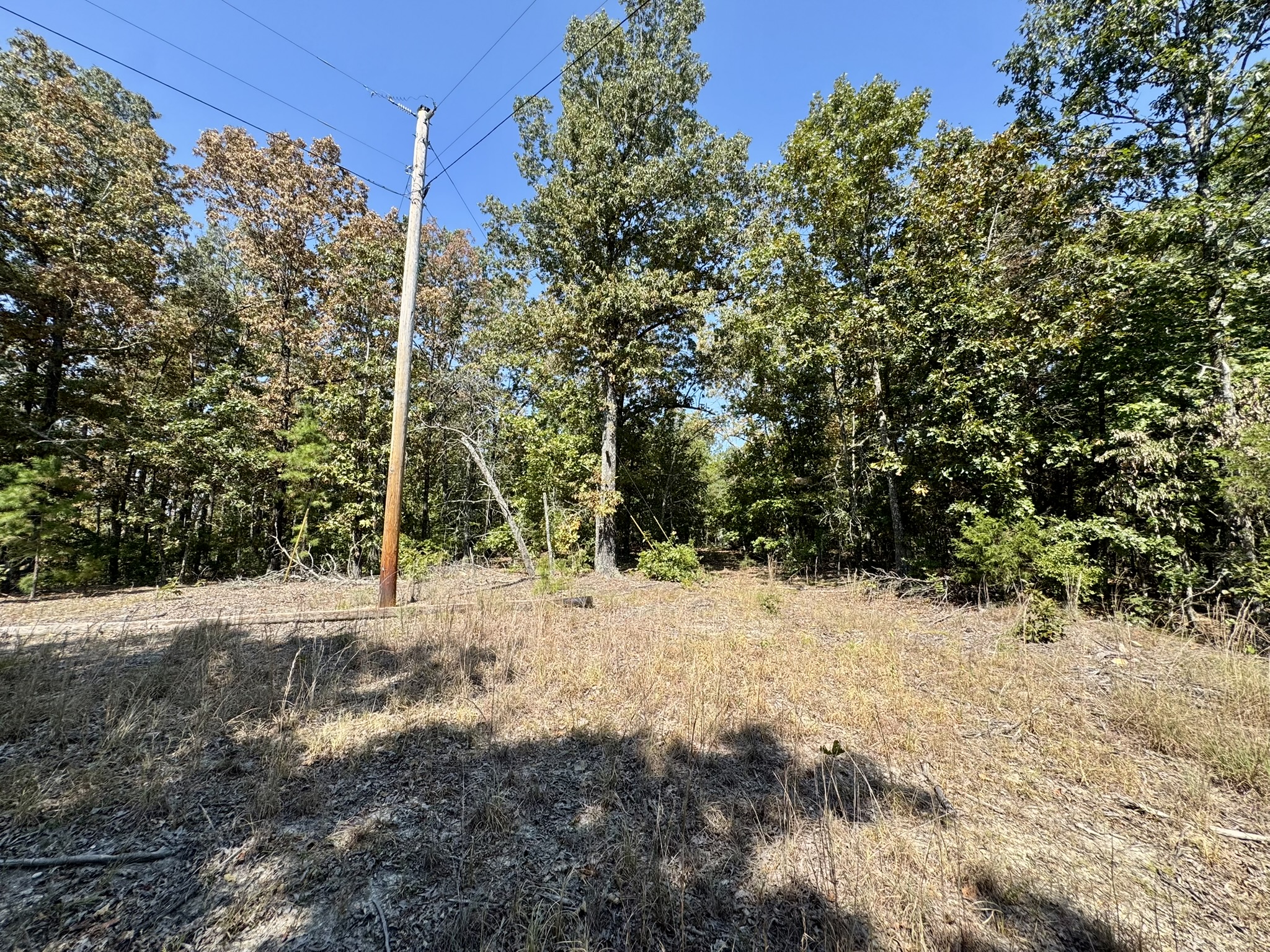 CABIN AND HUNTING LAND FOR SALE IN NORTH CENTRAL ARKANSAS