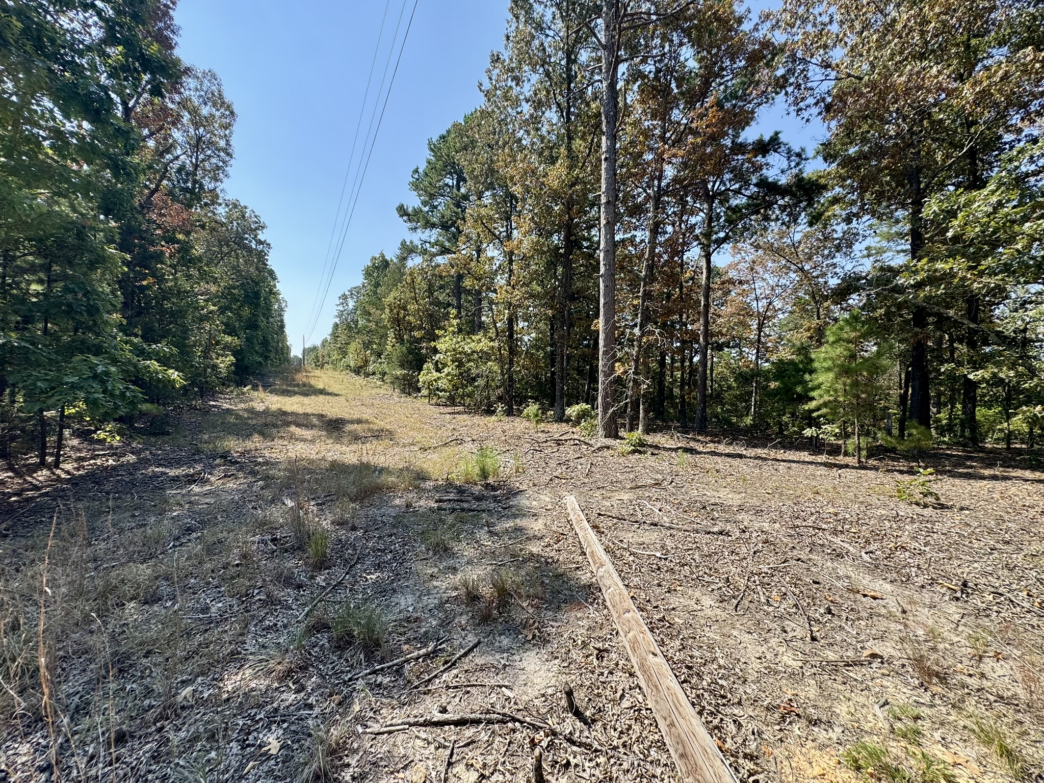 CABIN AND HUNTING LAND FOR SALE IN NORTH CENTRAL ARKANSAS