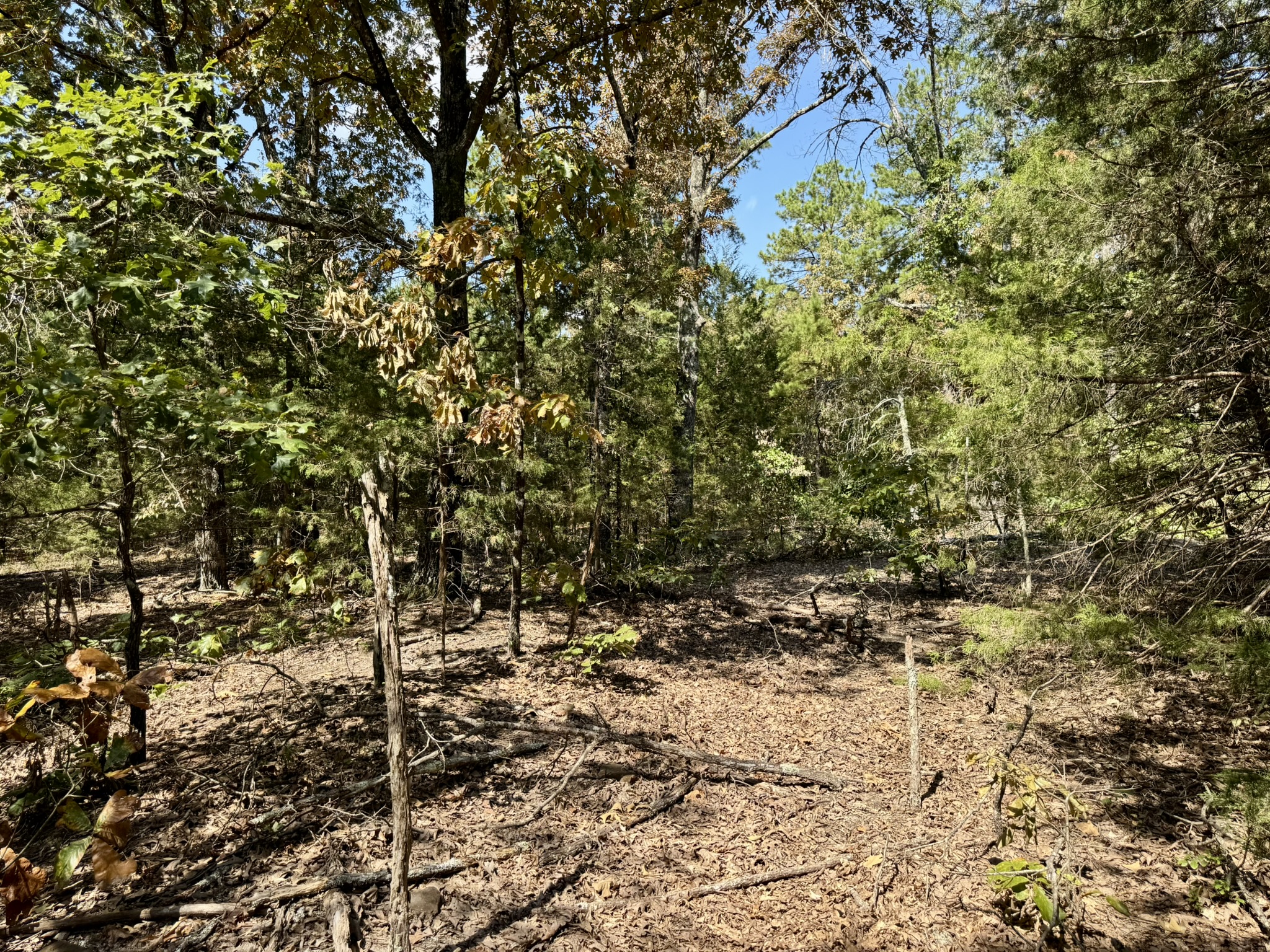 CABIN AND HUNTING LAND FOR SALE IN NORTH CENTRAL ARKANSAS