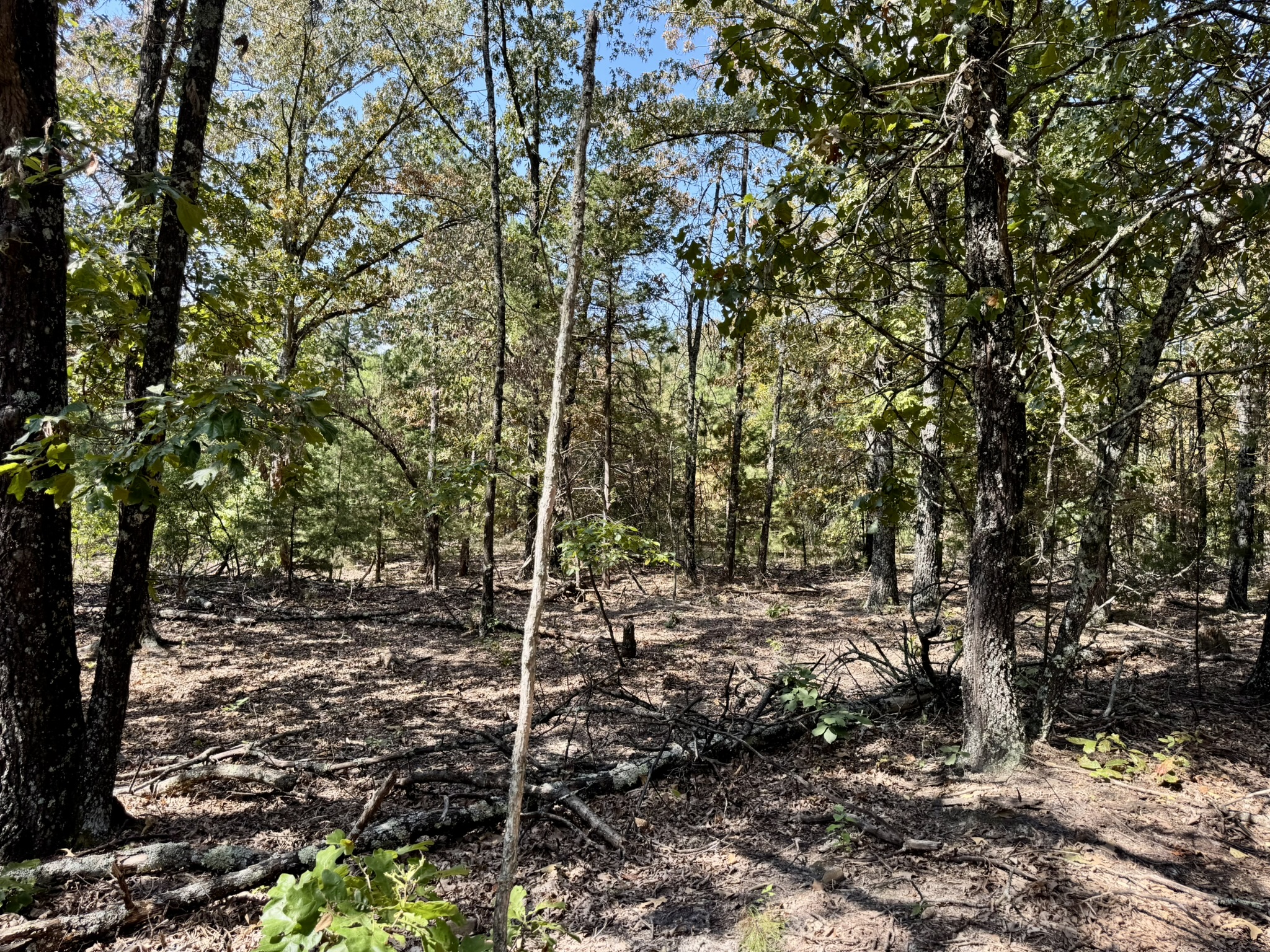 CABIN AND HUNTING LAND FOR SALE IN NORTH CENTRAL ARKANSAS