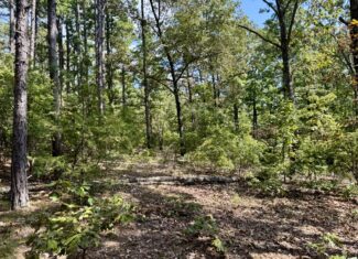 CABIN AND HUNTING LAND FOR SALE IN NORTH CENTRAL ARKANSAS