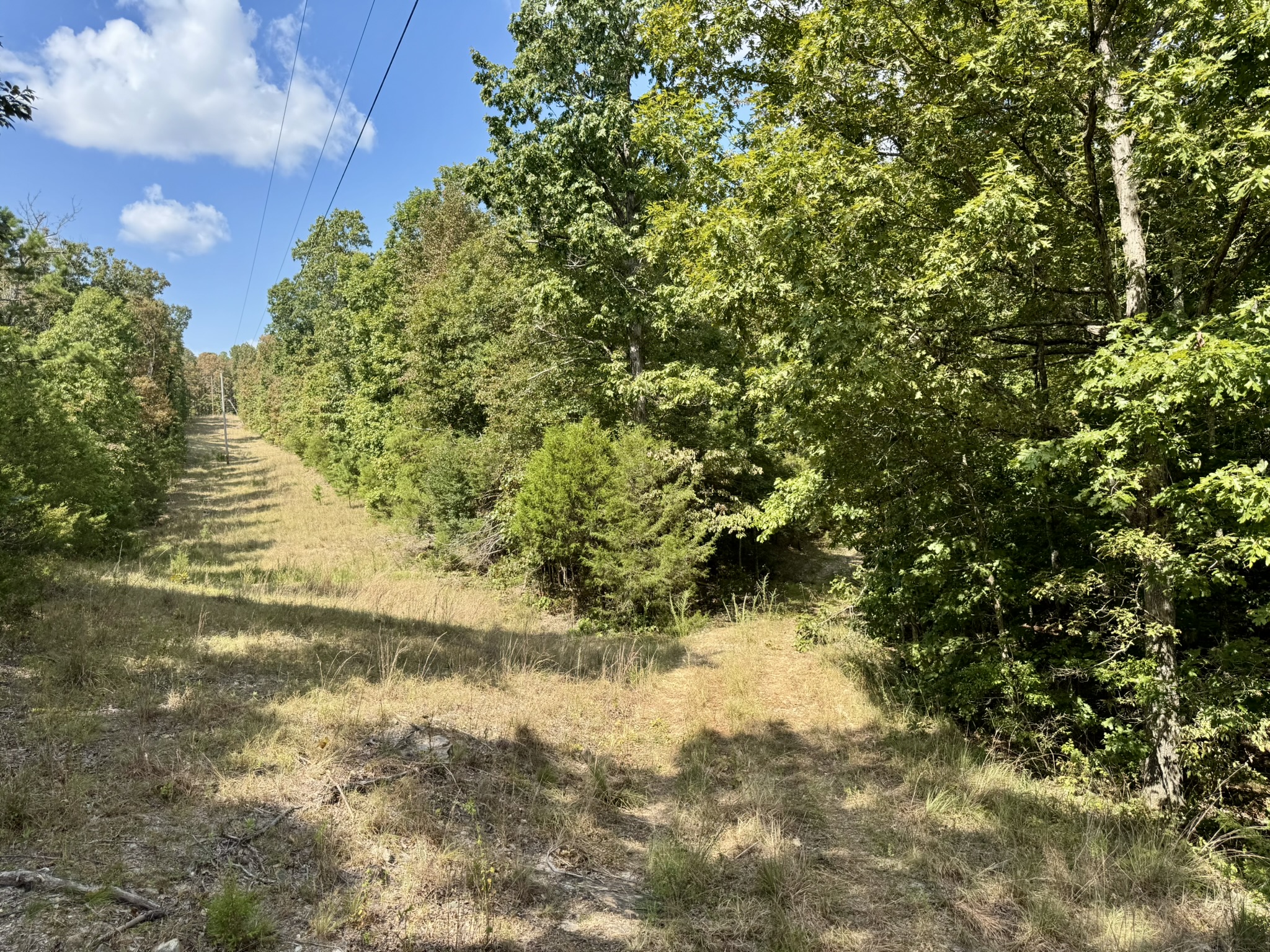 CABIN AND HUNTING LAND FOR SALE IN NORTH CENTRAL ARKANSAS
