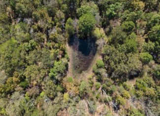 CABIN AND HUNTING LAND FOR SALE IN NORTH CENTRAL ARKANSAS