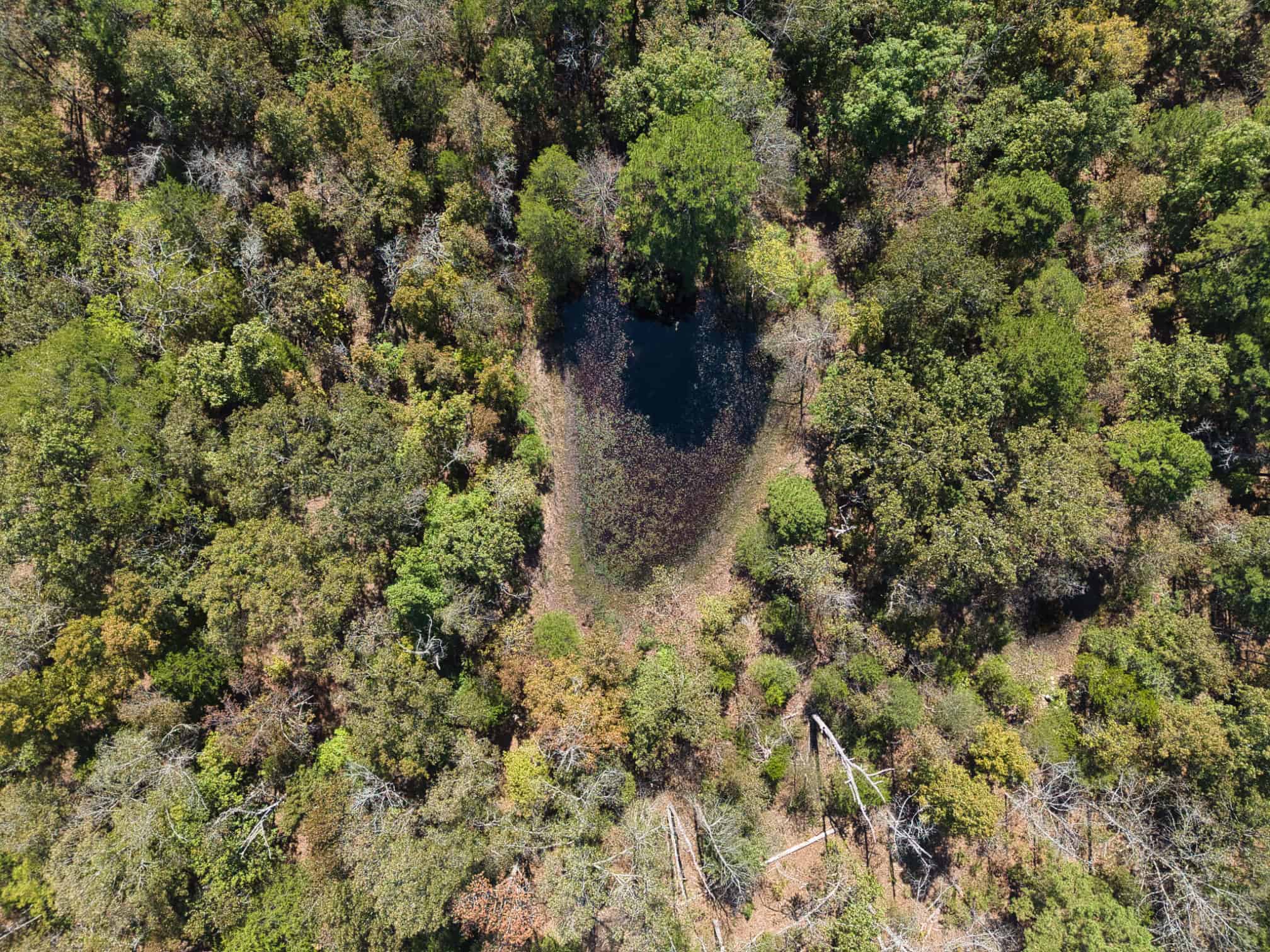 CABIN AND HUNTING LAND FOR SALE IN NORTH CENTRAL ARKANSAS