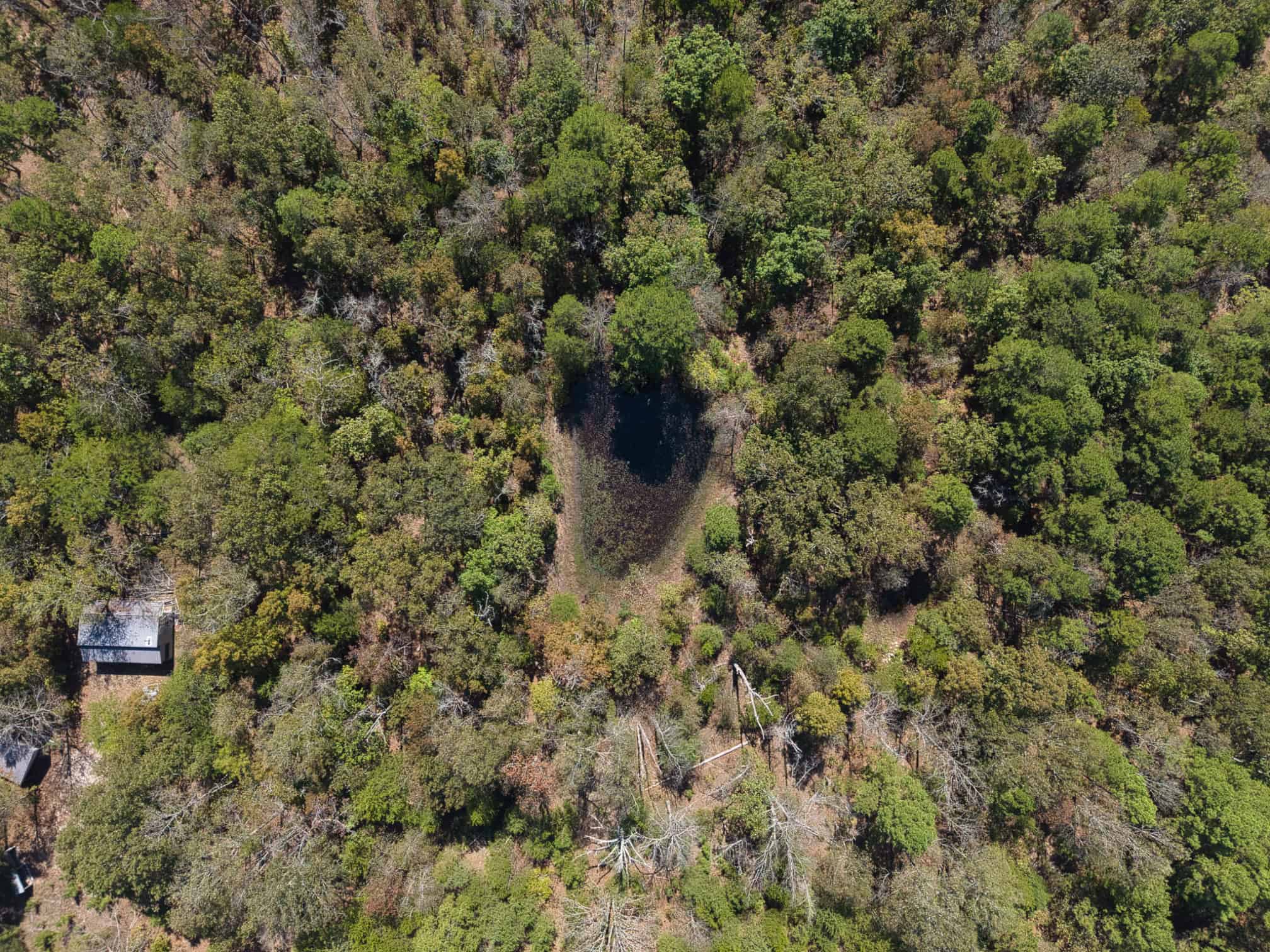 CABIN AND HUNTING LAND FOR SALE IN NORTH CENTRAL ARKANSAS