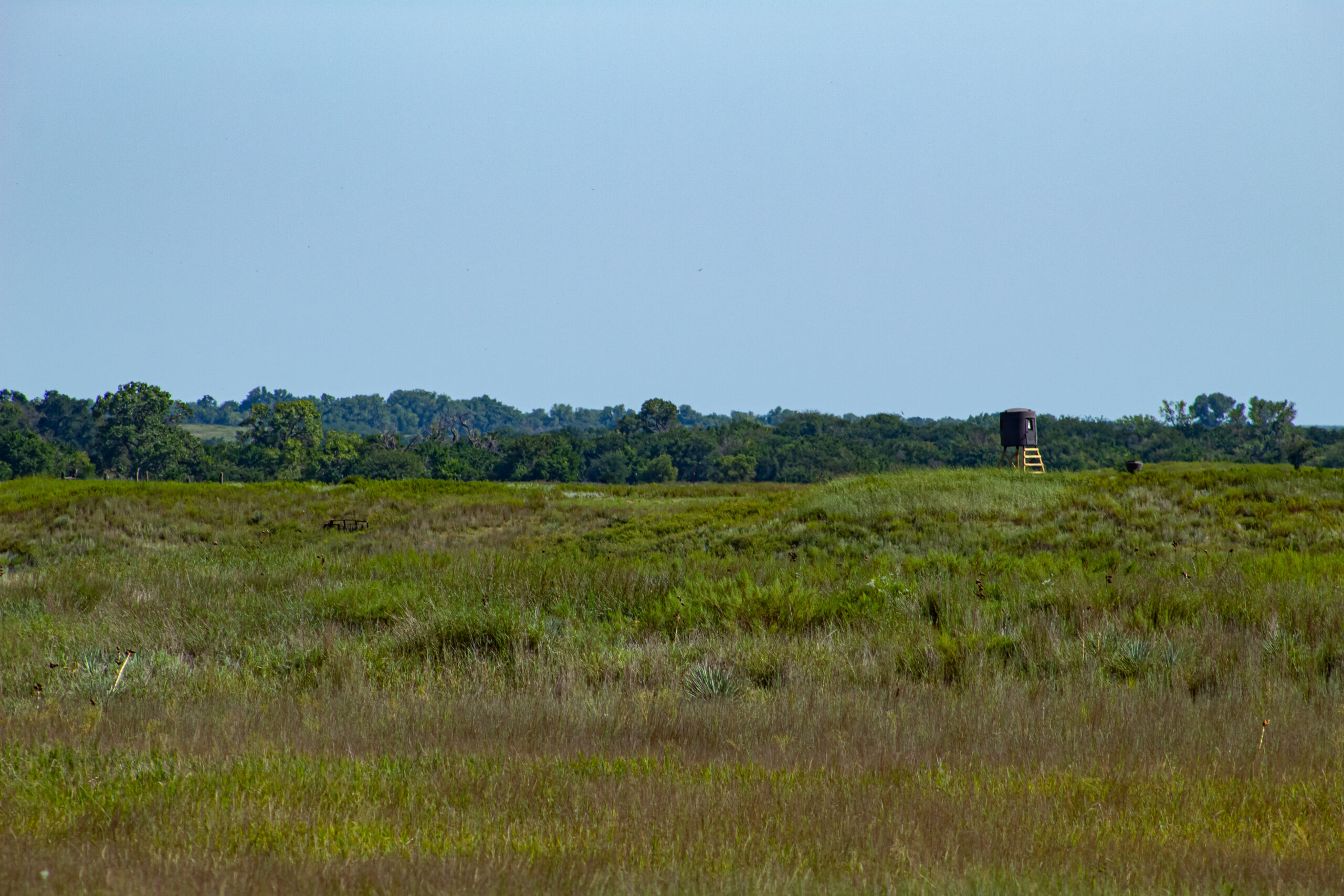 164 Acres – Premier Whitetail Hunting Property | Pratt County, KS