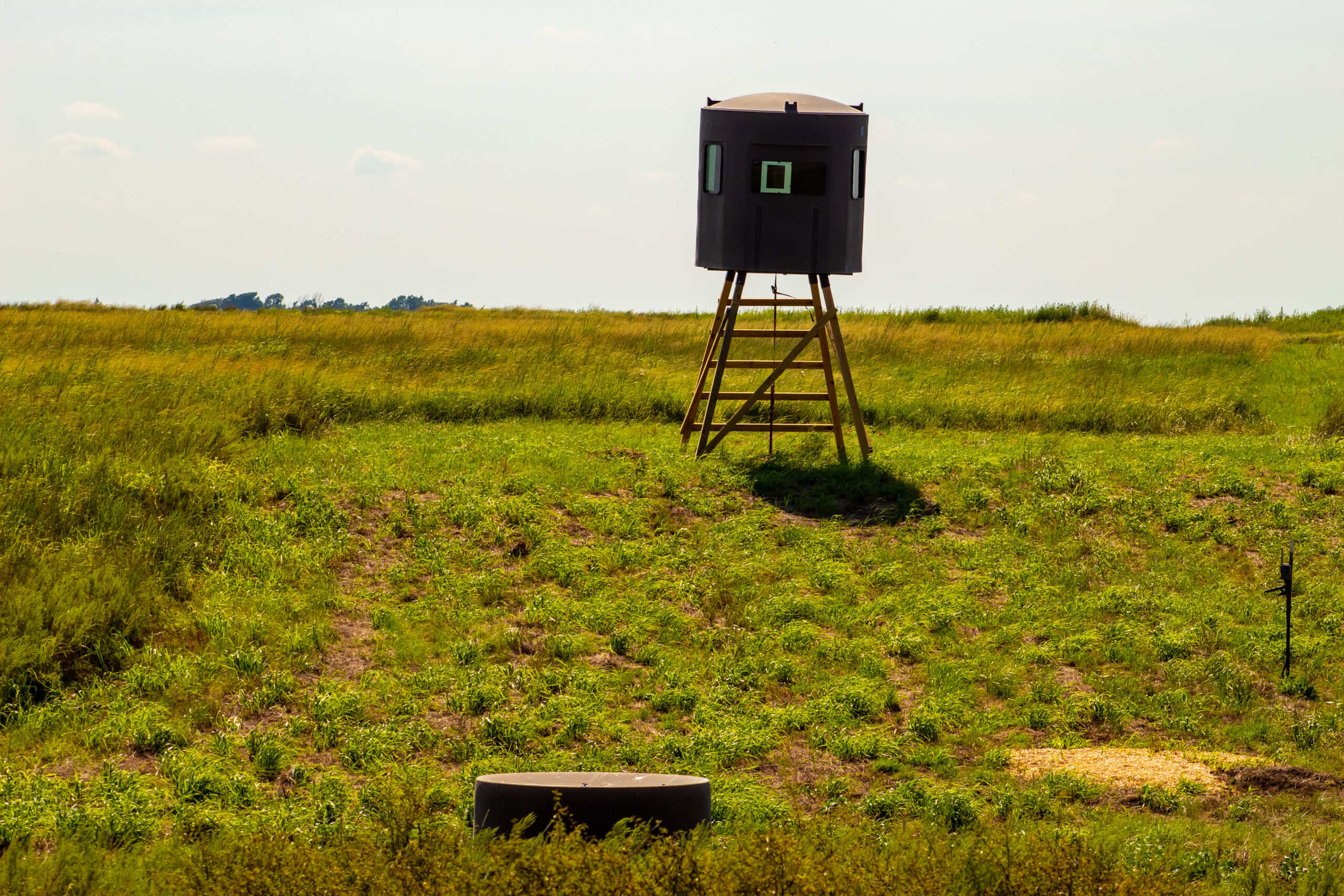 164 Acres – Premier Whitetail Hunting Property | Pratt County, KS