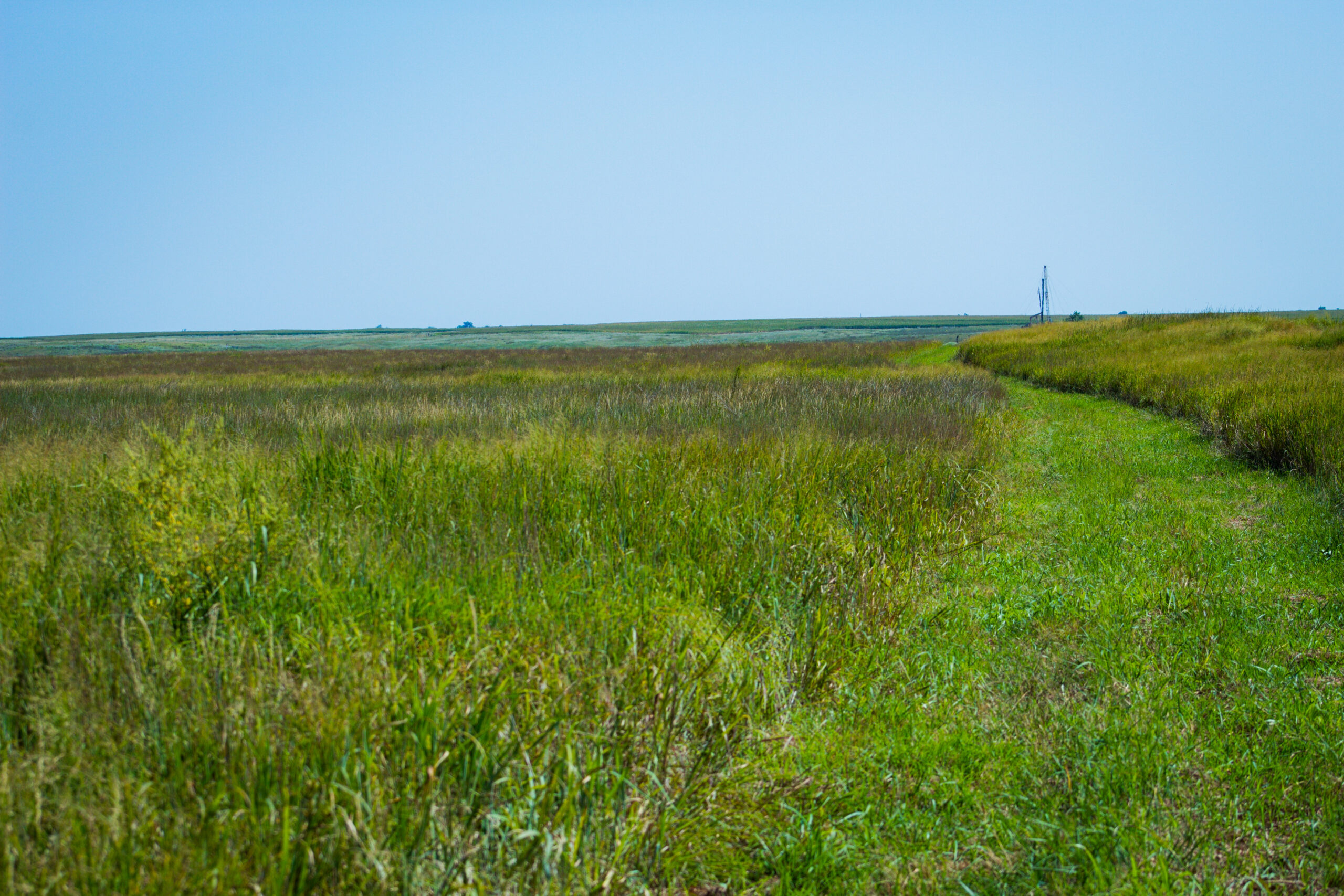 164 Acres – Premier Whitetail Hunting Property | Pratt County, KS