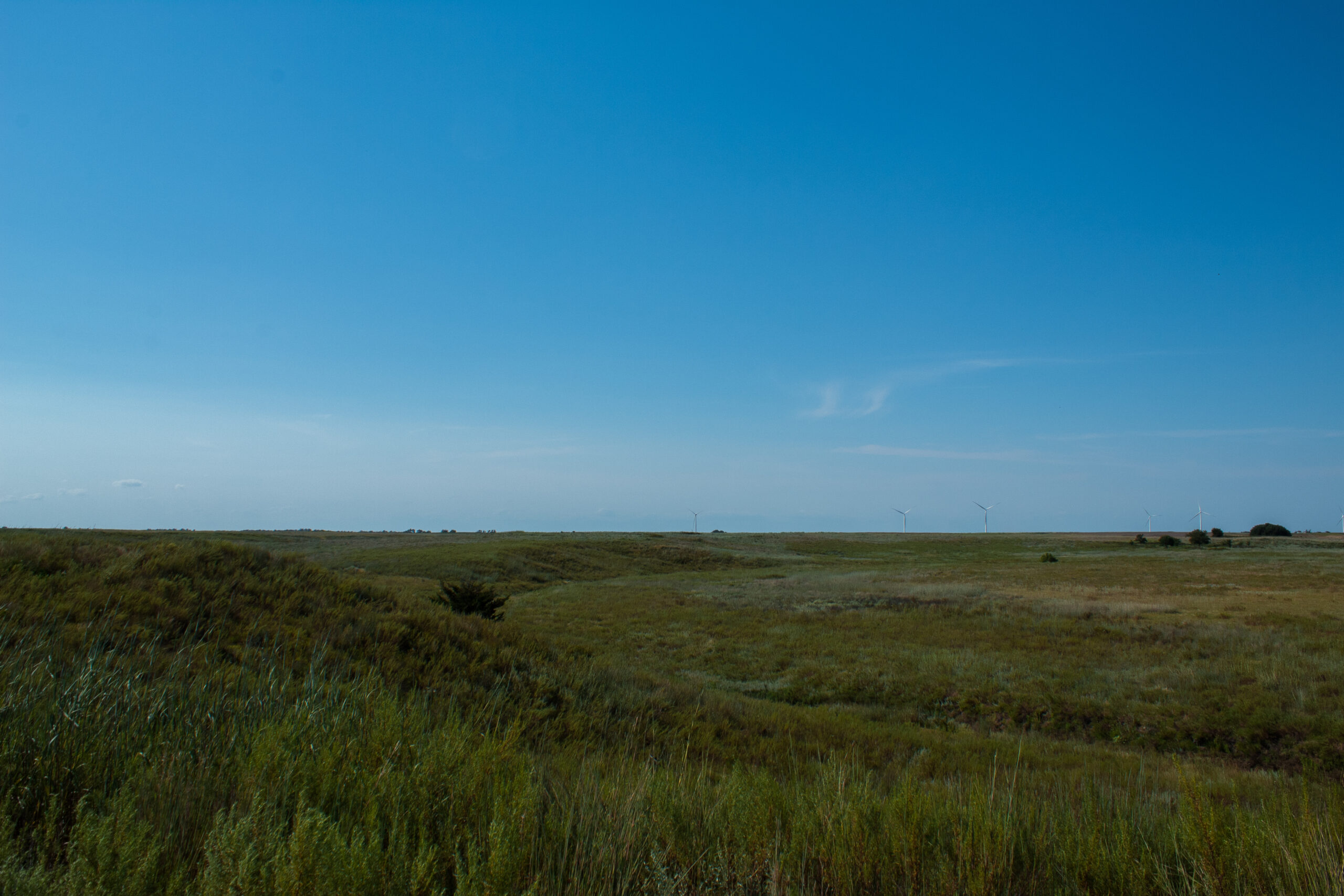164 Acres – Premier Whitetail Hunting Property | Pratt County, KS