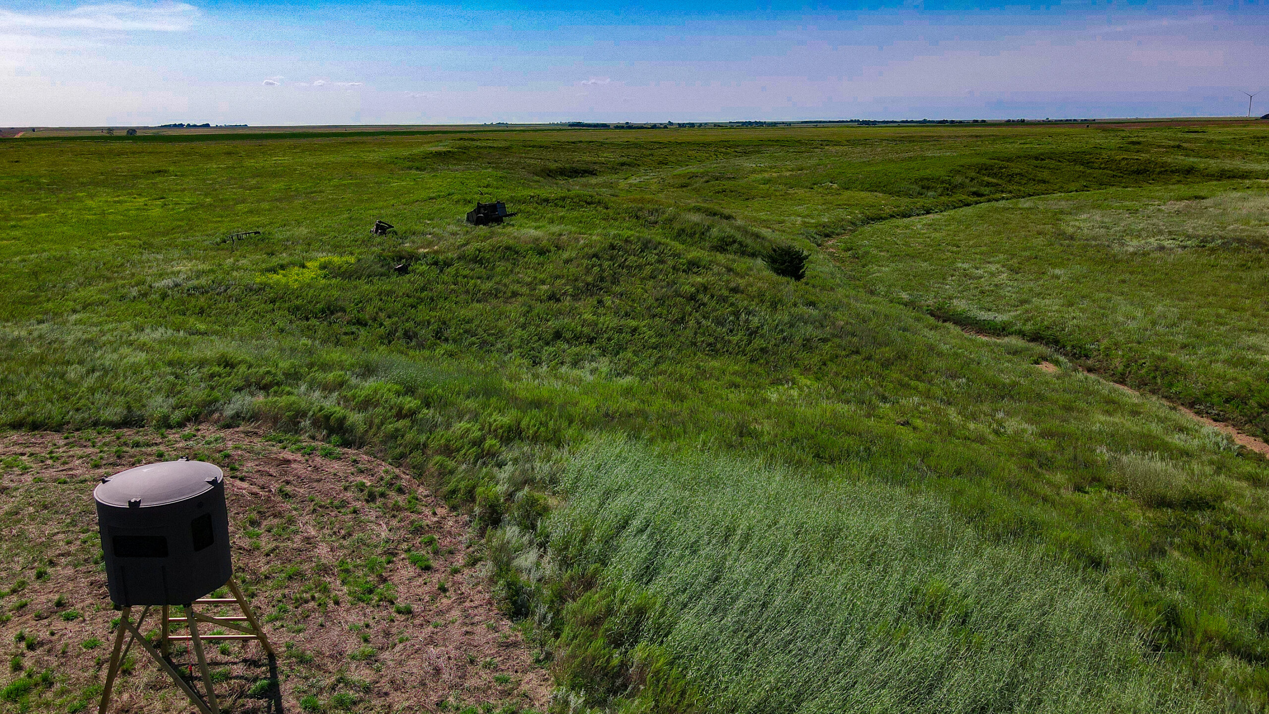164 Acres – Premier Whitetail Hunting Property | Pratt County, KS