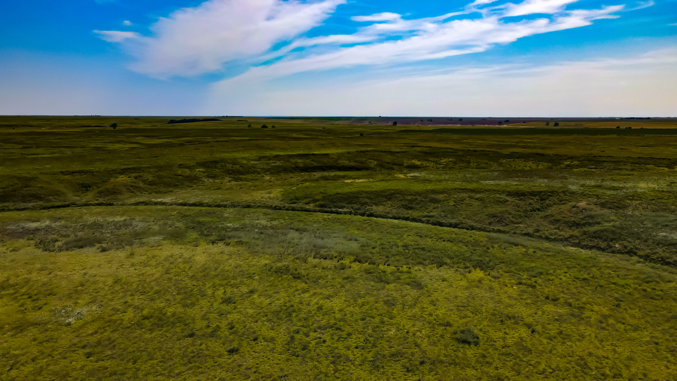 164 Acres – Premier Whitetail Hunting Property | Pratt County, KS