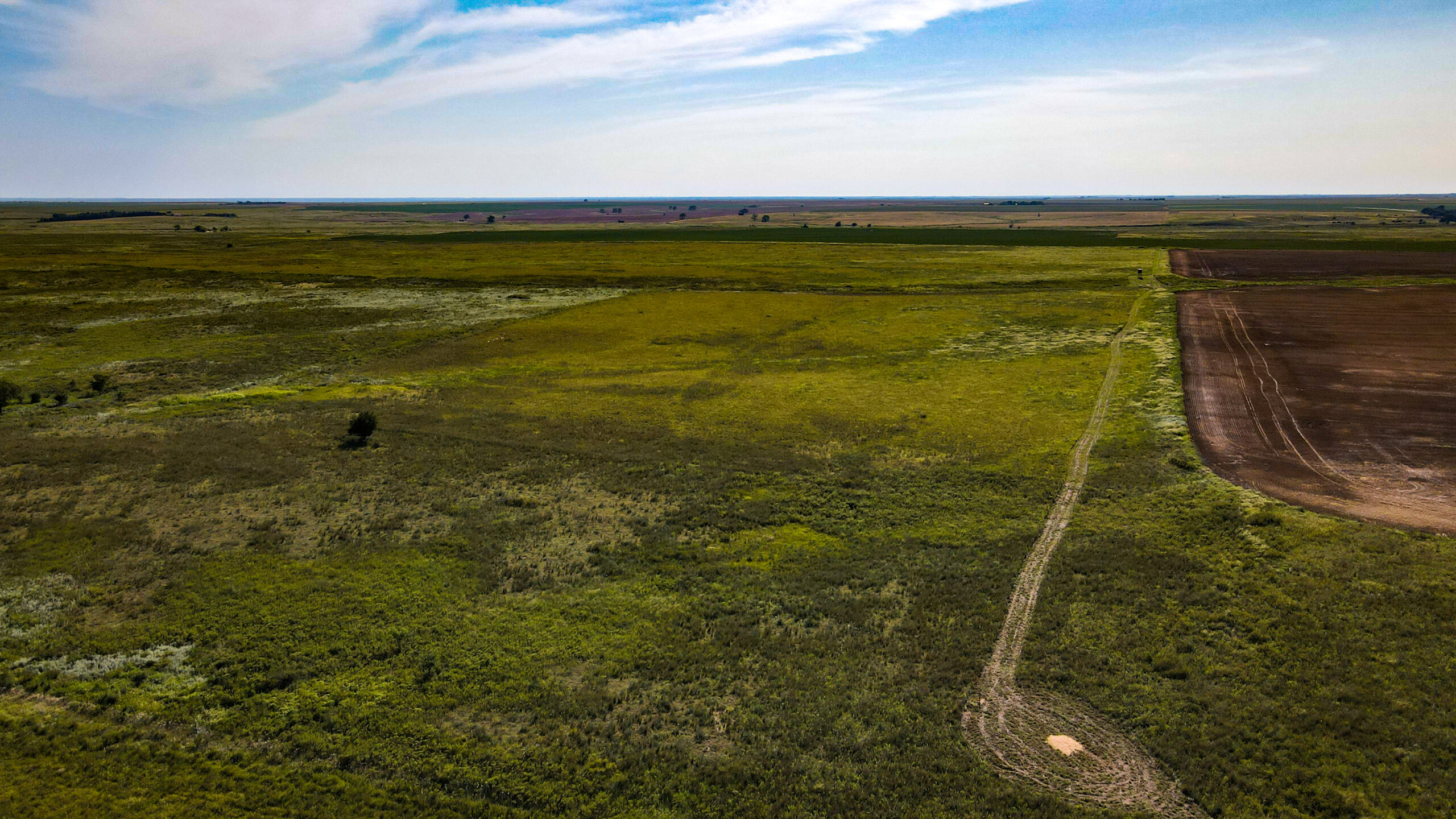 164 Acres – Premier Whitetail Hunting Property | Pratt County, KS